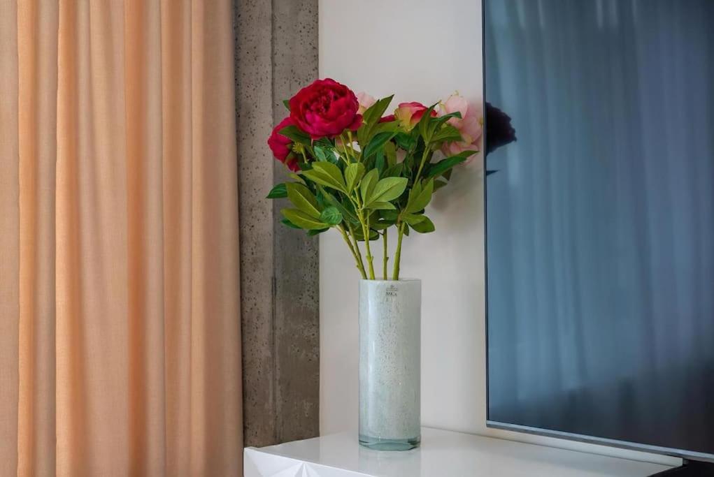 Prestigious Apt in RhyGarden