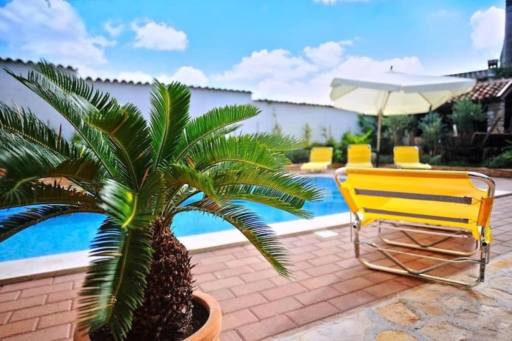 Villa Roma