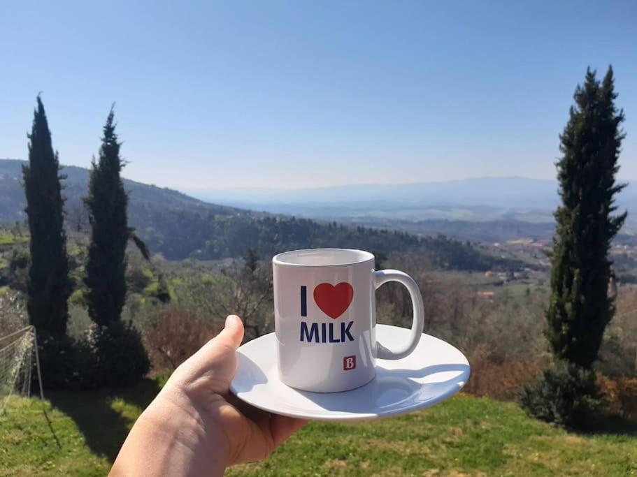 Casa Benucci Oliveta Tuscany view 5