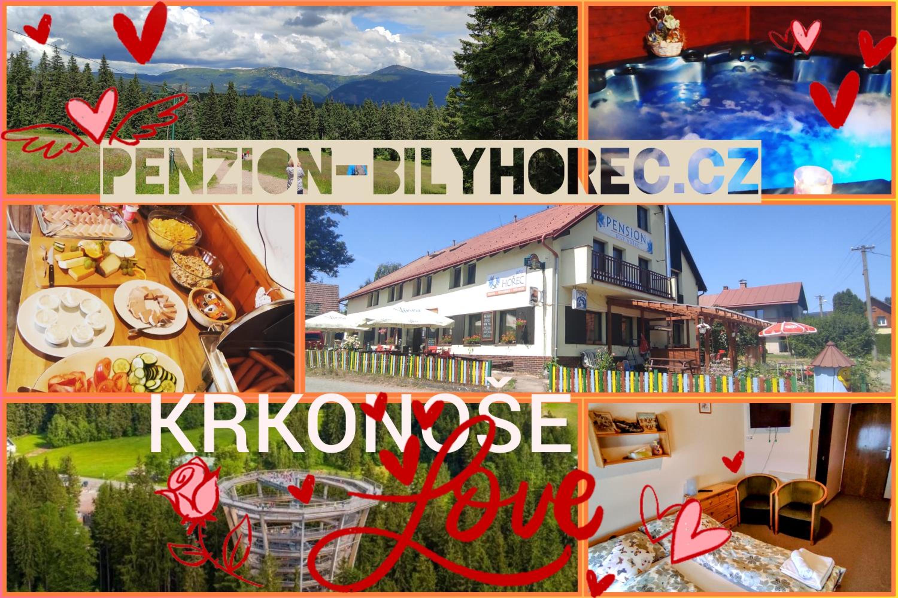 Pension Bílý Hořec