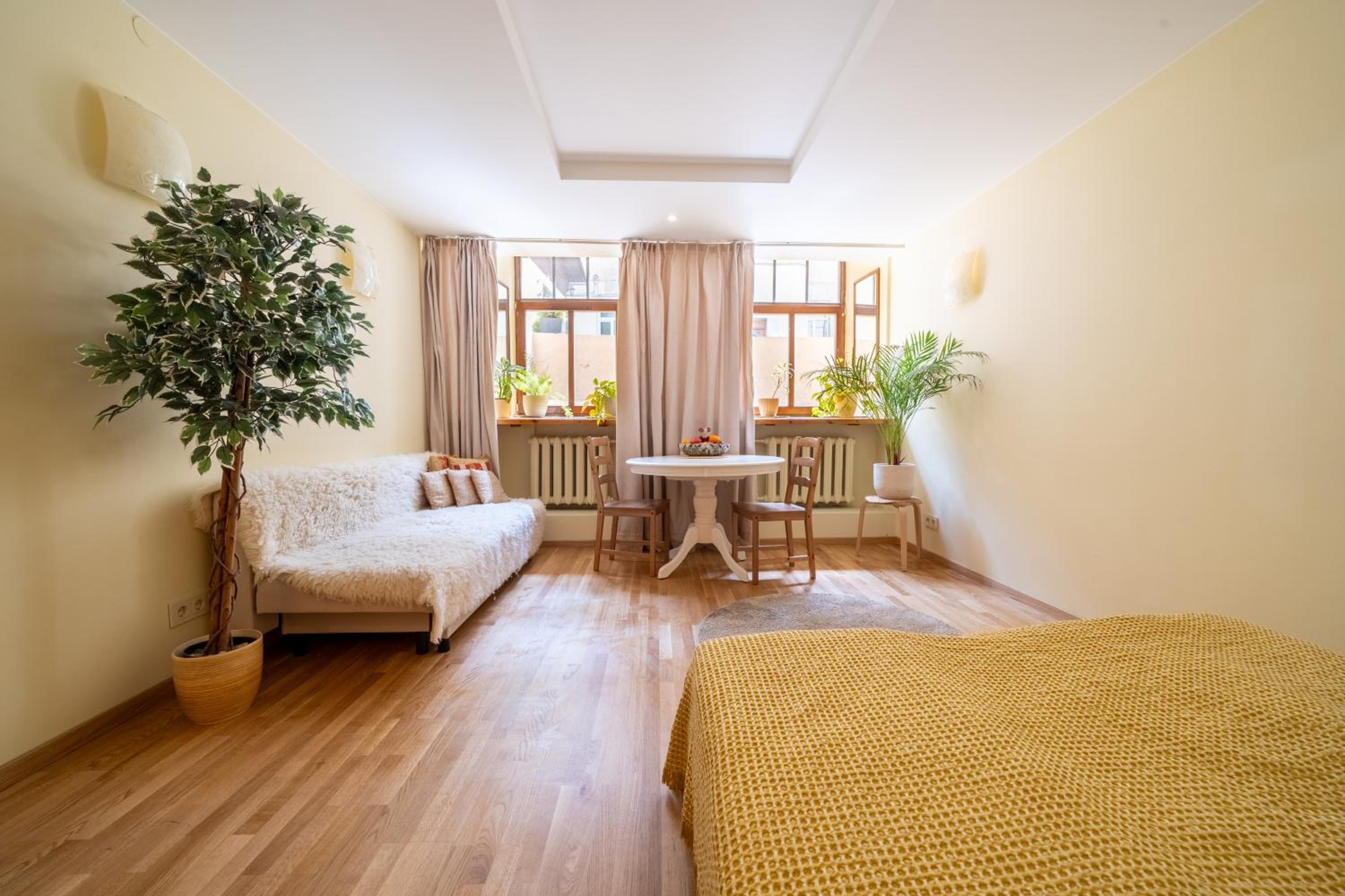Cozy Suite with Inner Yard view 3