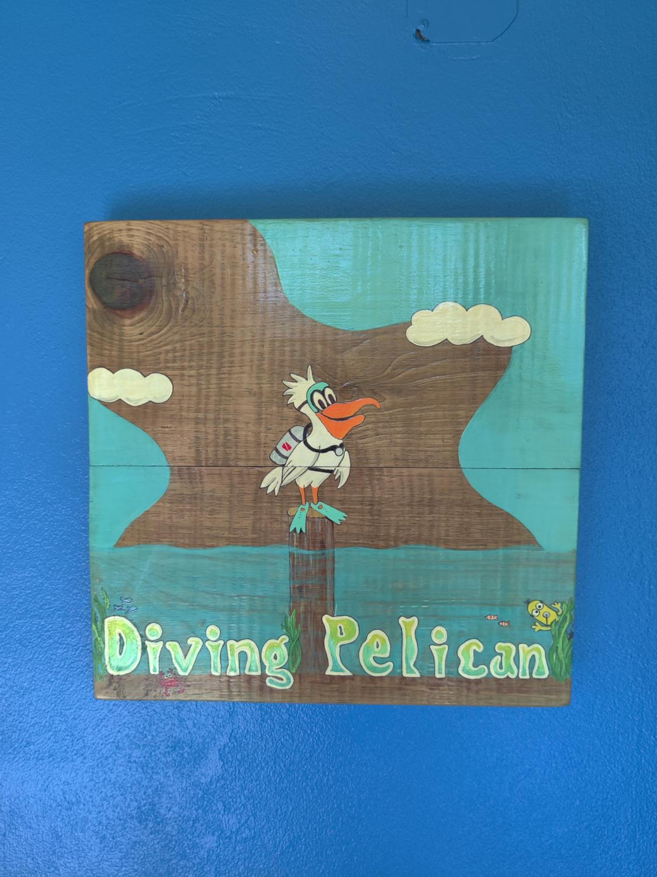 Palm & Pelican