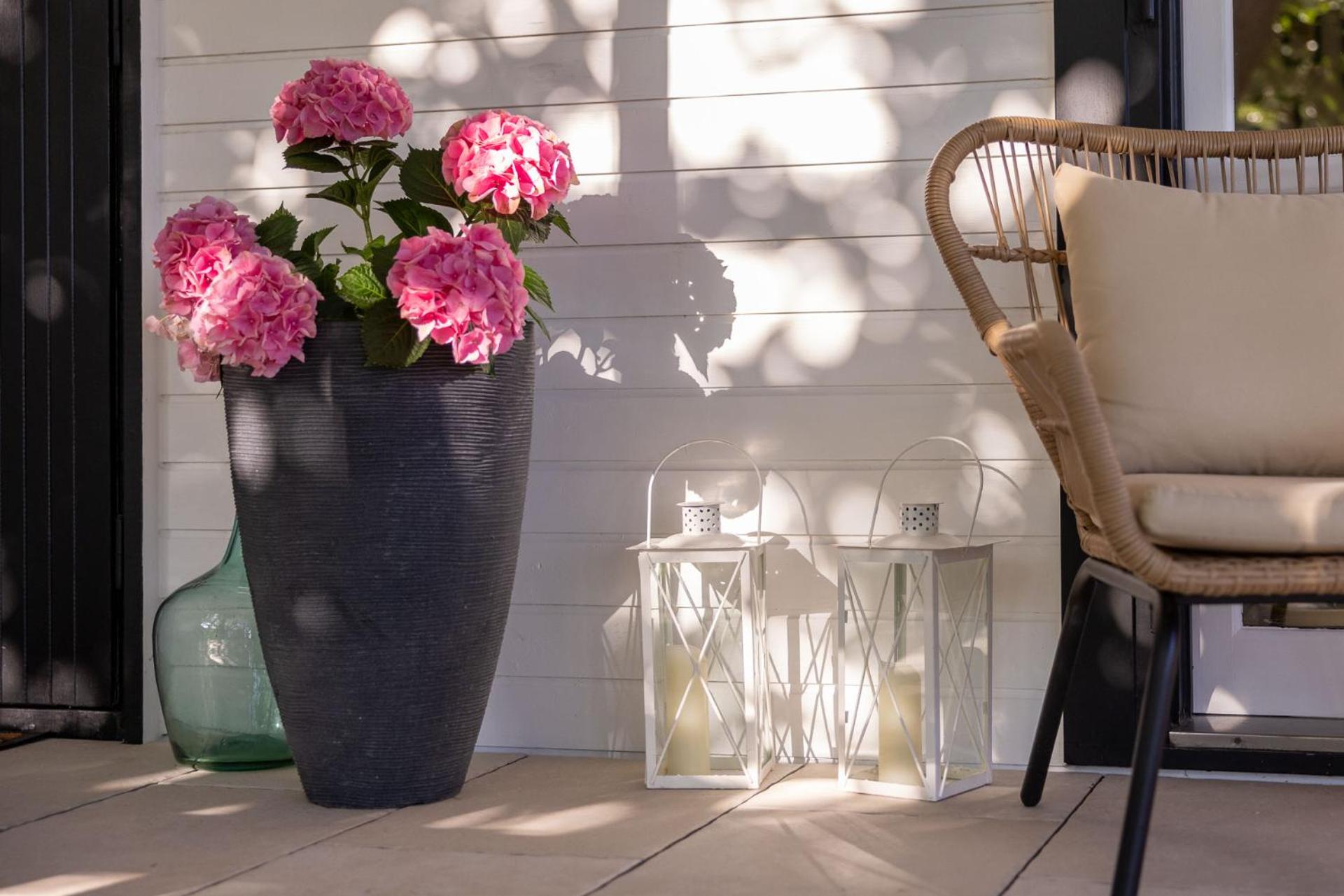 Romantisches Cottage mit Sauna, Terrasse & Natur