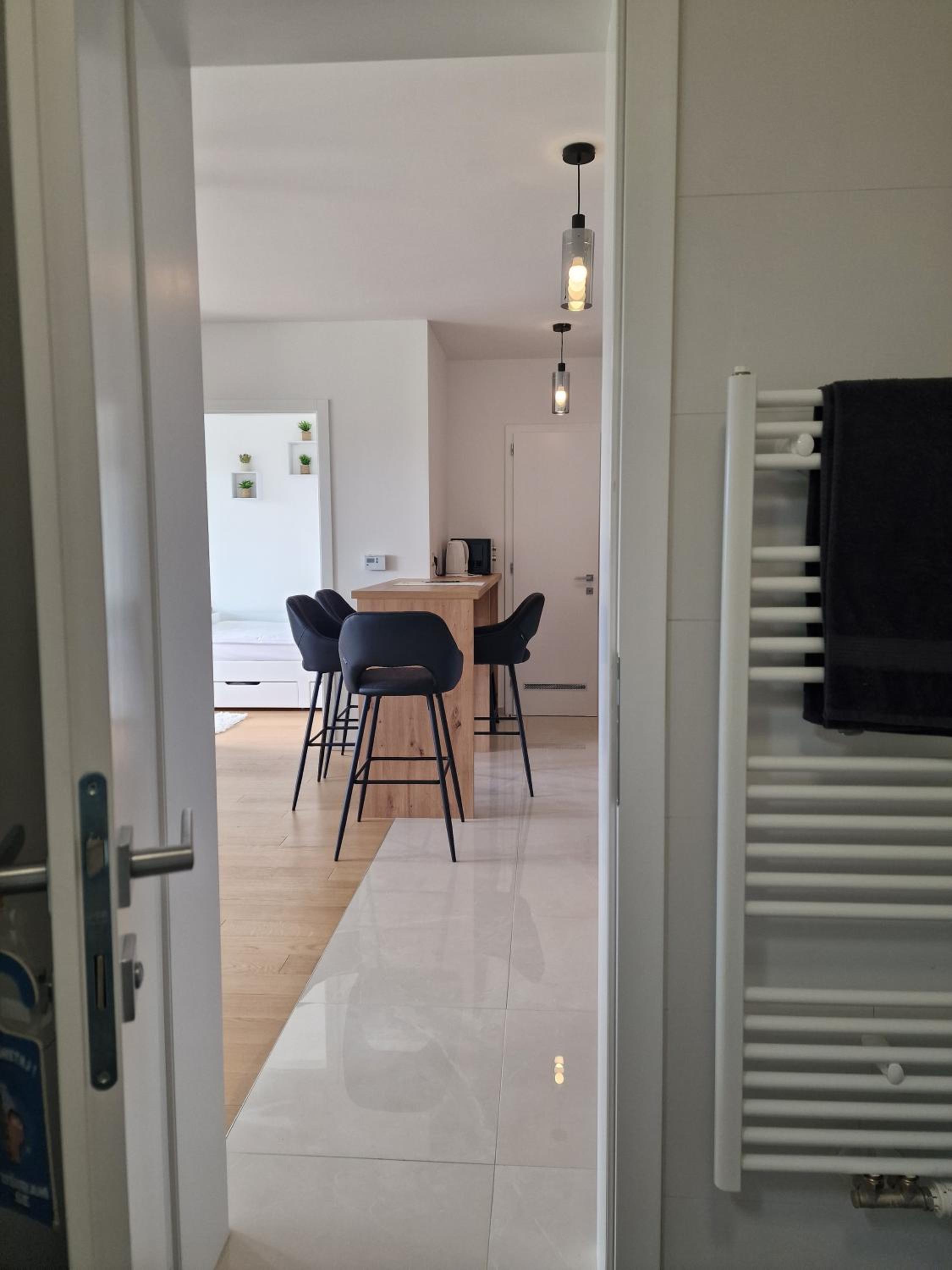 Apartment Queen, self check-in, free private garage parking