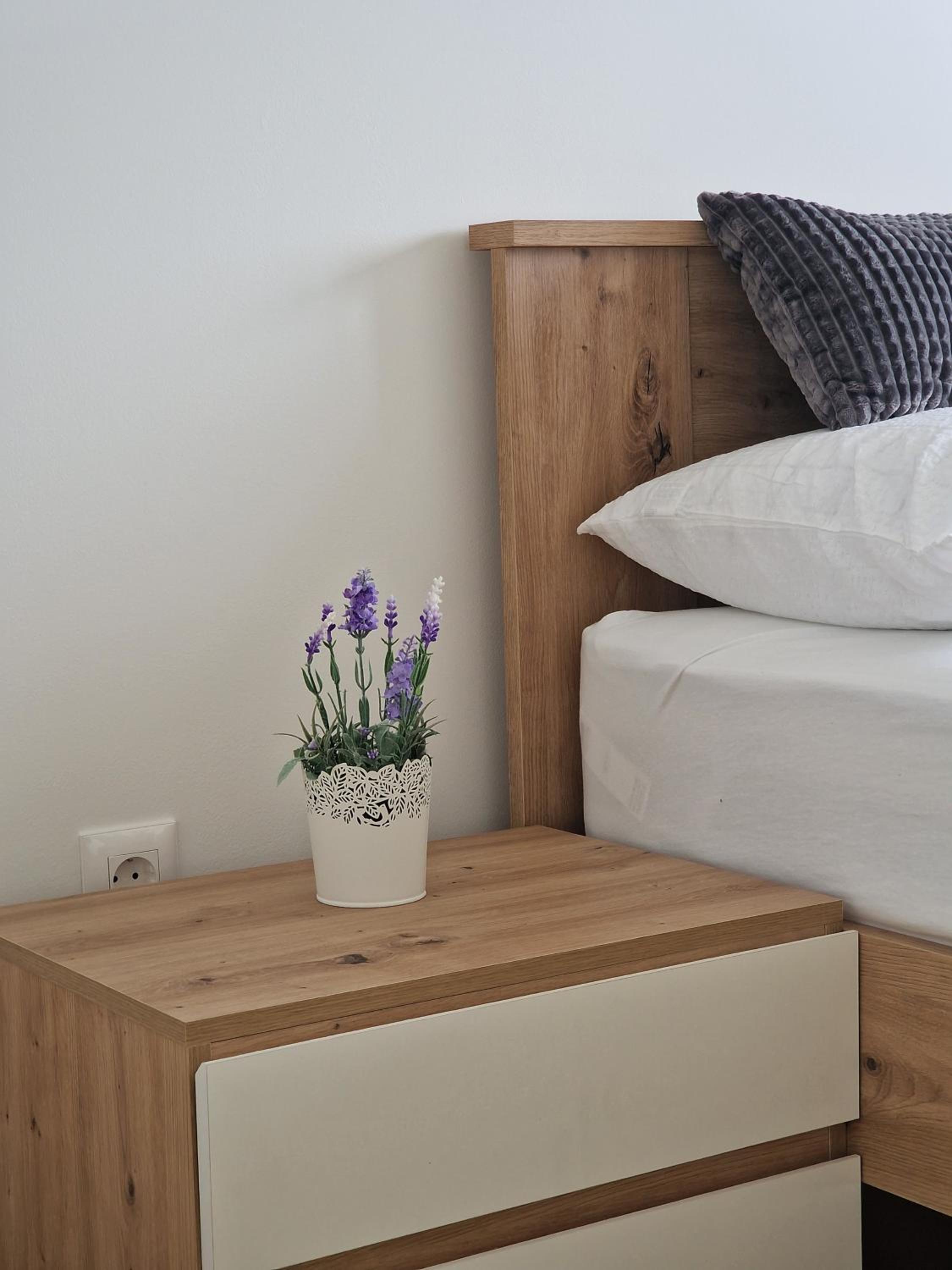 Apartment Queen, self check-in, free private garage parking