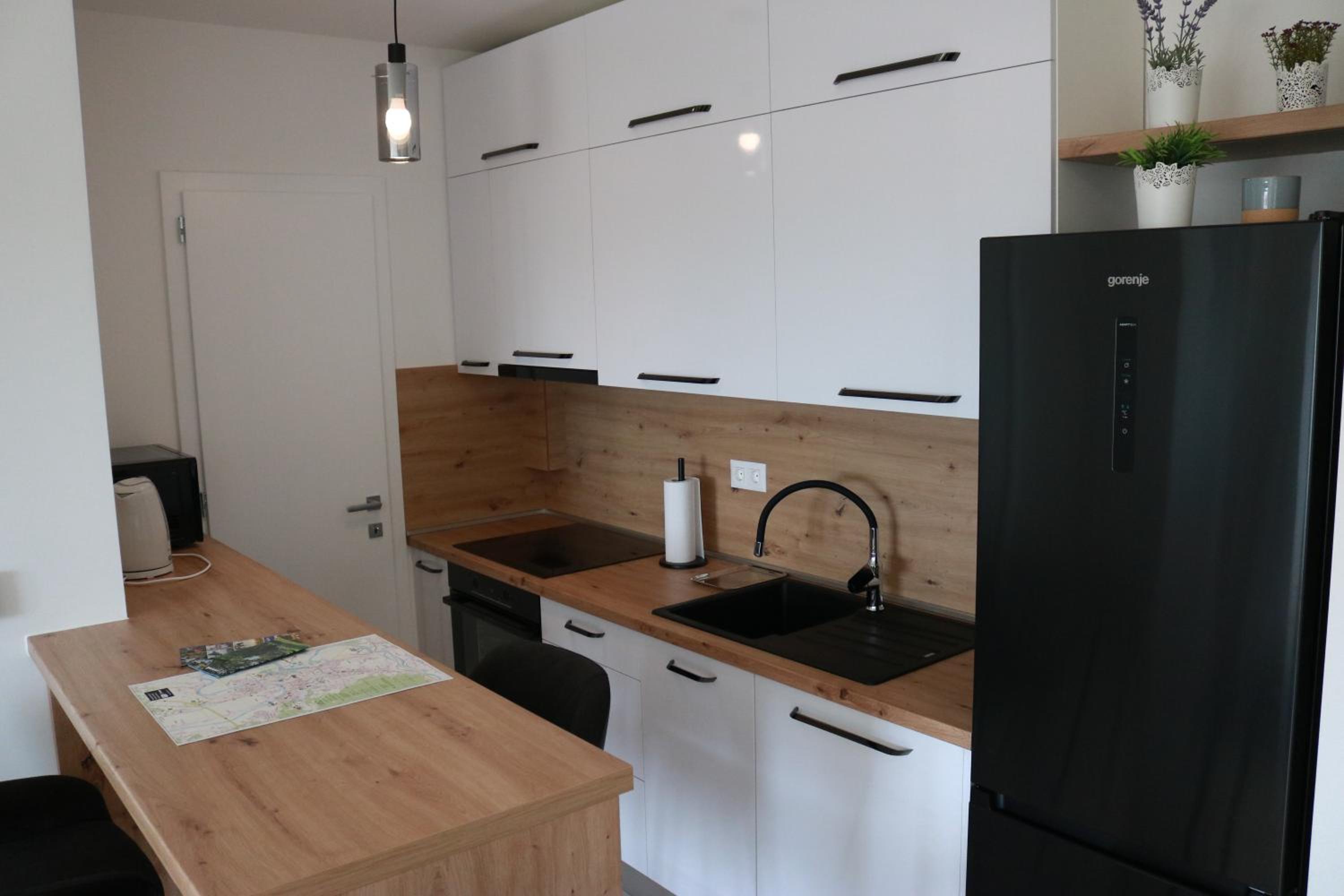 Apartment Queen, self check-in, free private garage parking