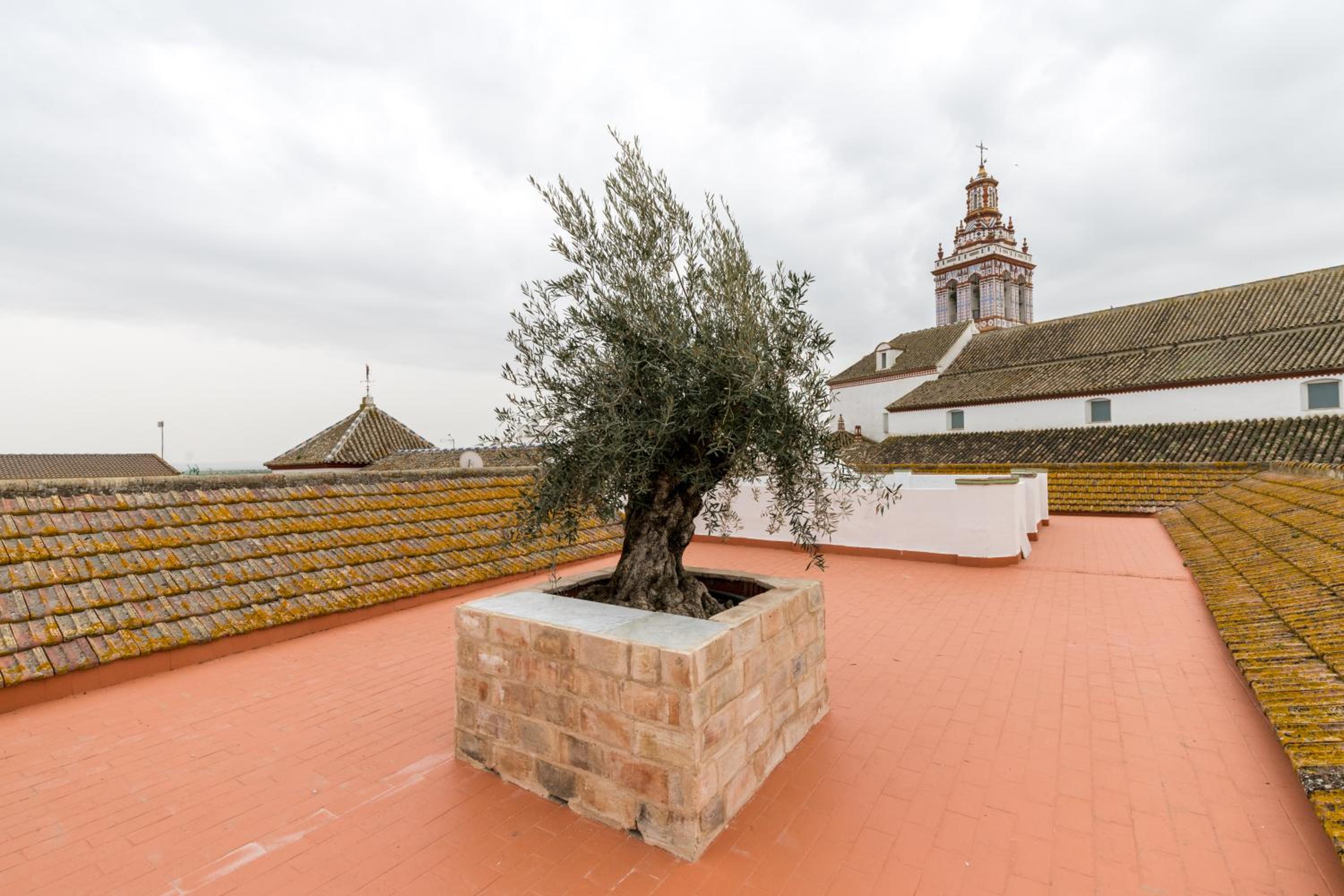 Casa Palacio de la Carrera Olehousing