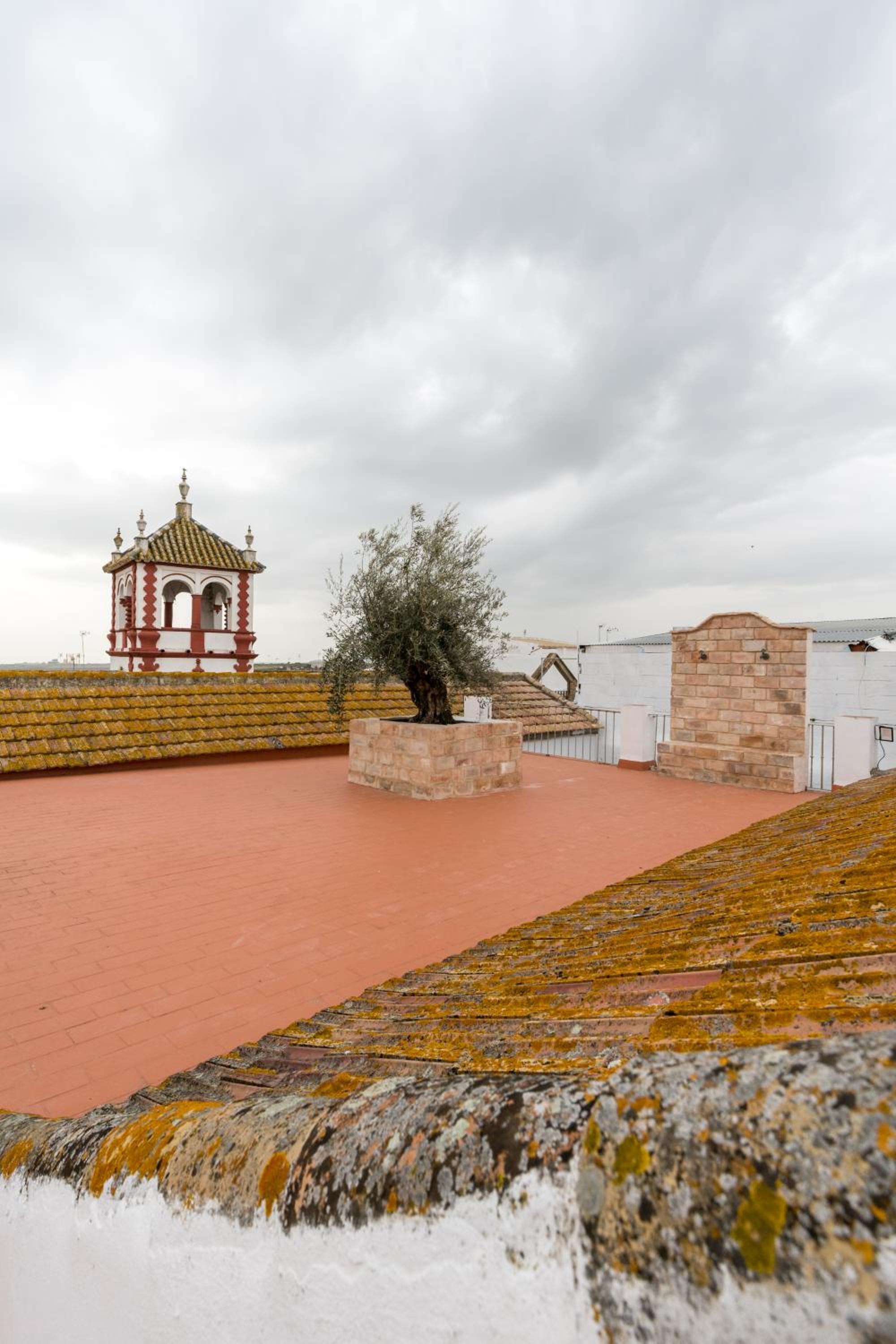 Casa Palacio de la Carrera Olehousing