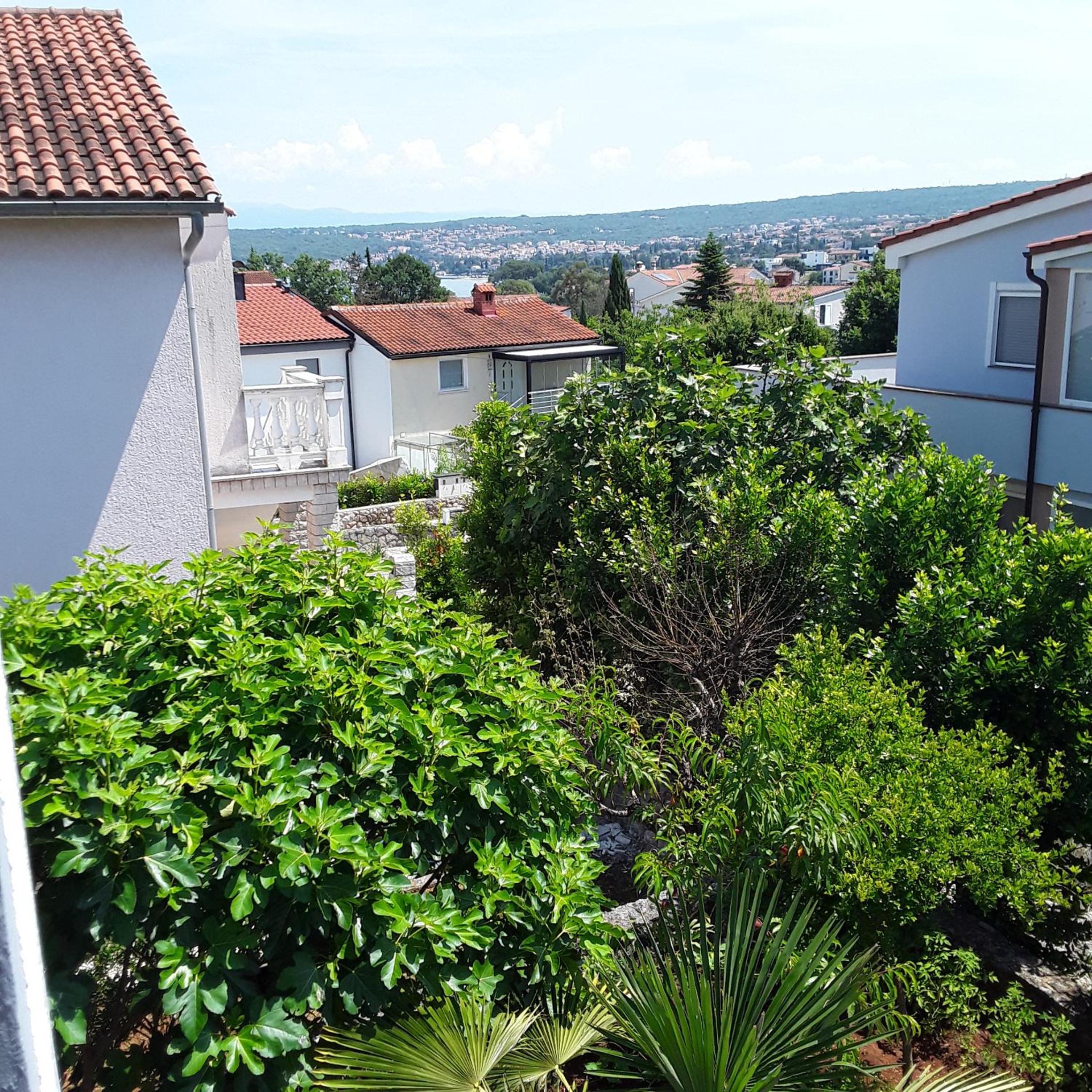 Apartmani Irina