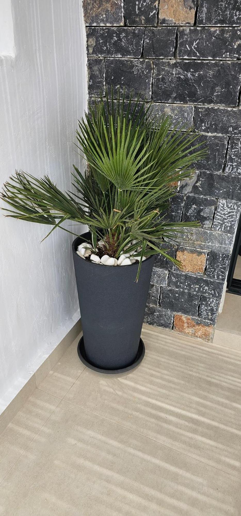 DG Luxury Apartments