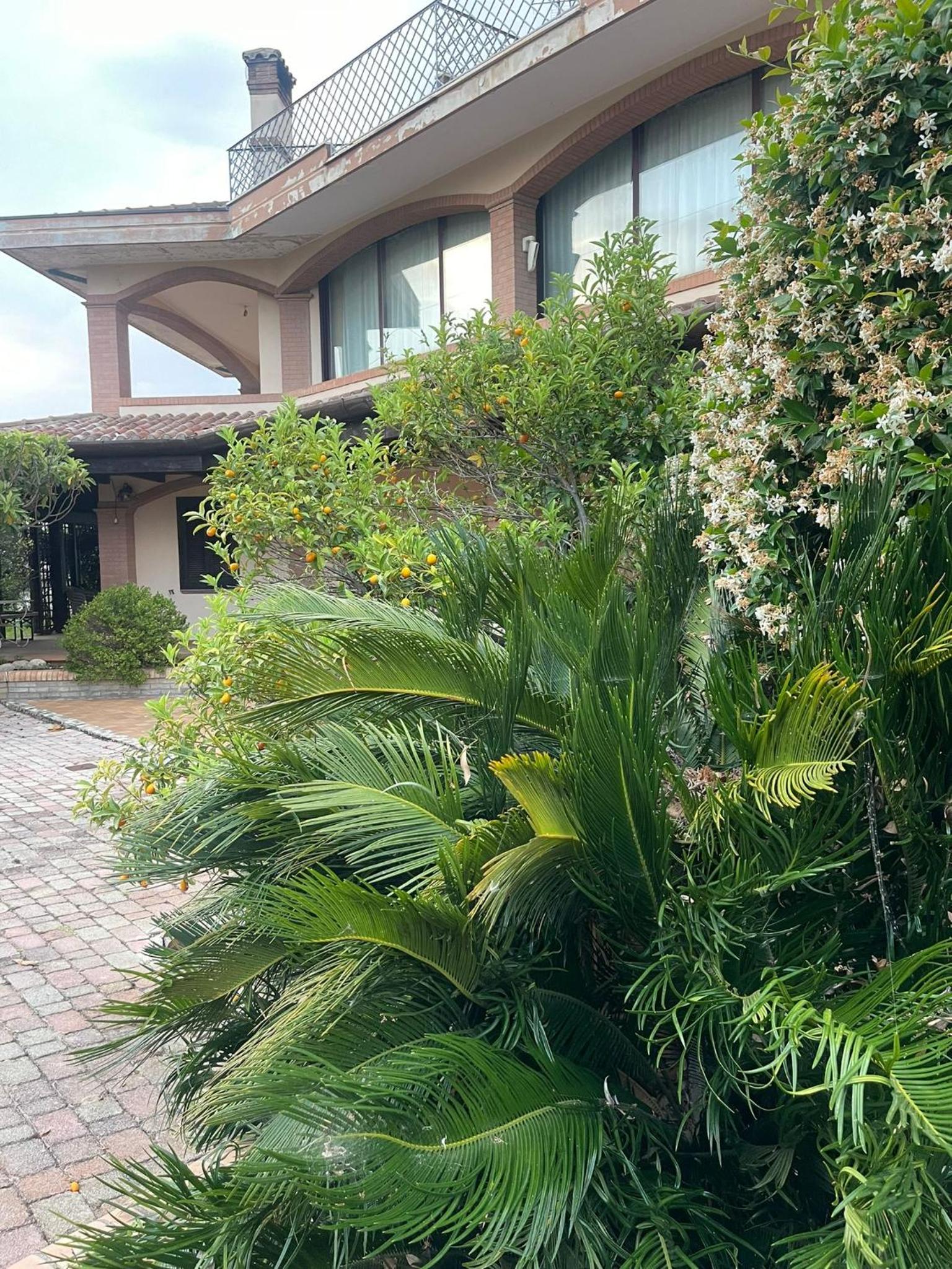 Hotel Aquada Experience