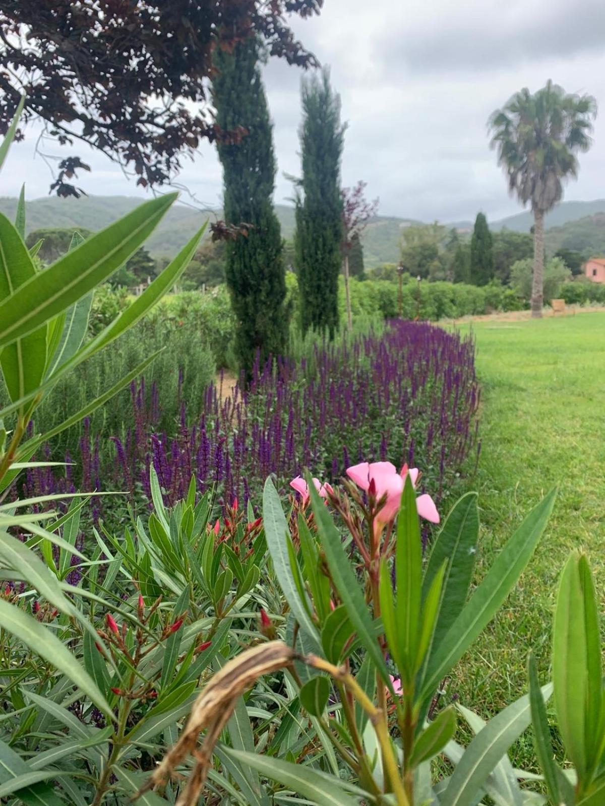 Casale Caterina Agriresort, photo 65
