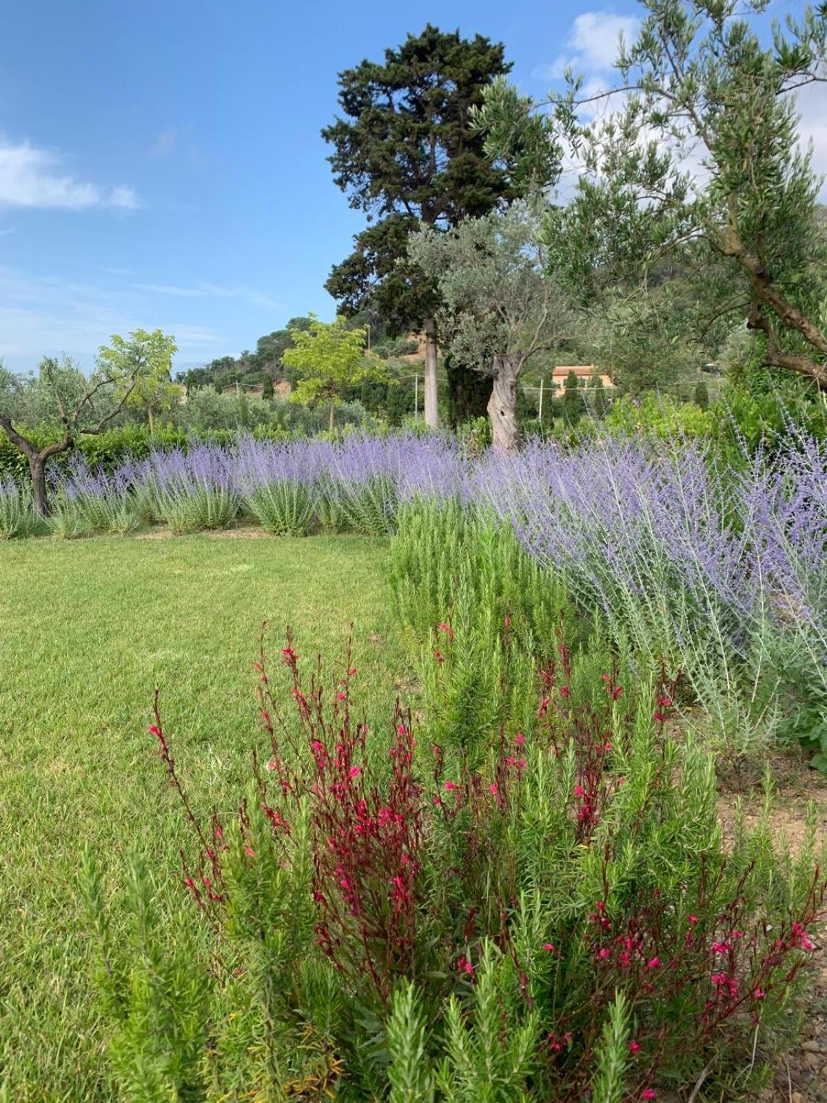 Casale Caterina Agriresort, photo 63