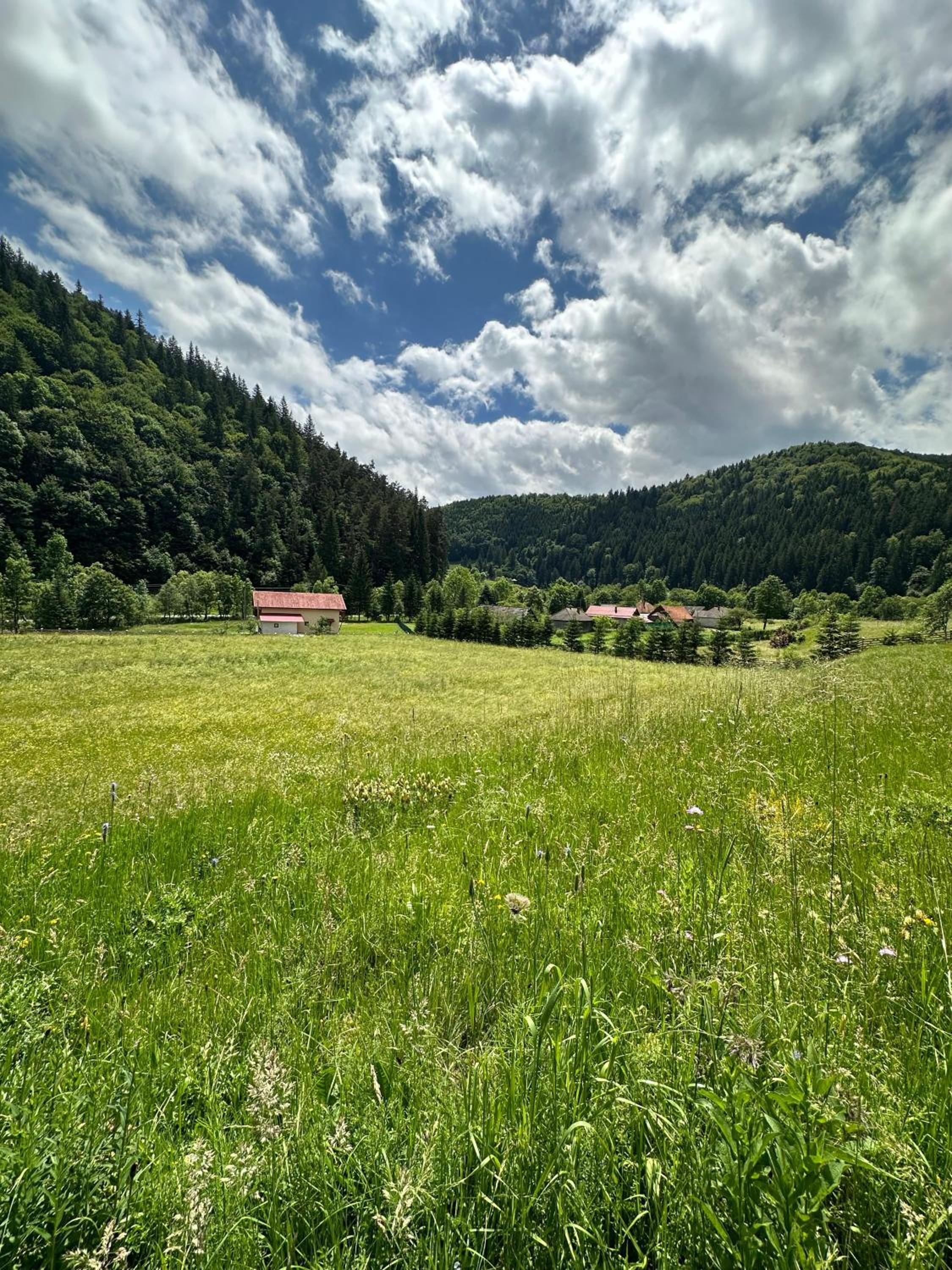 Vama Chalet view 5