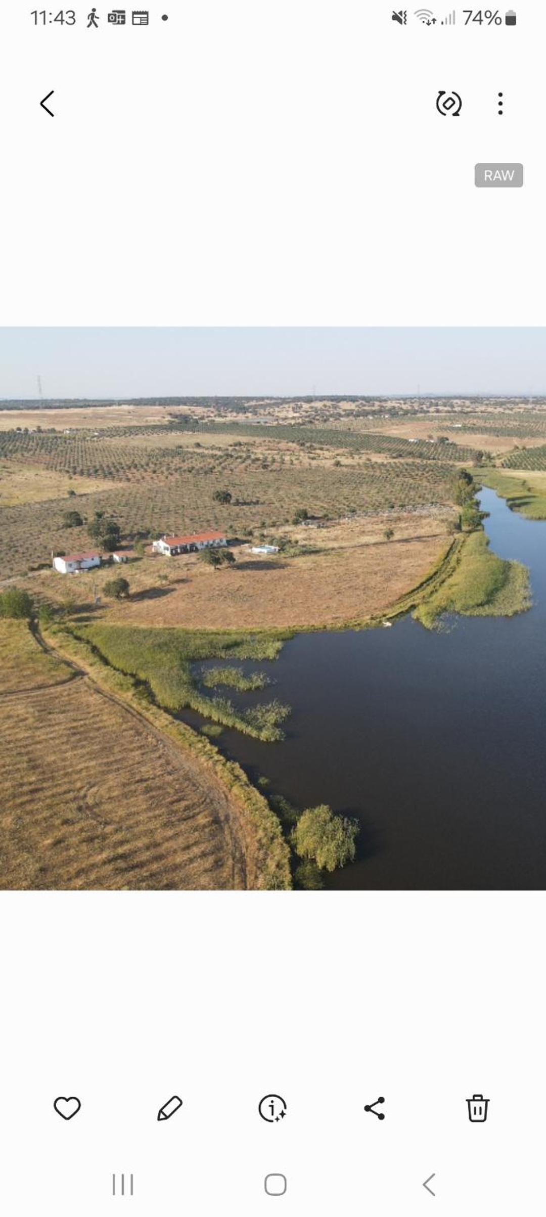 Monte da Figueira