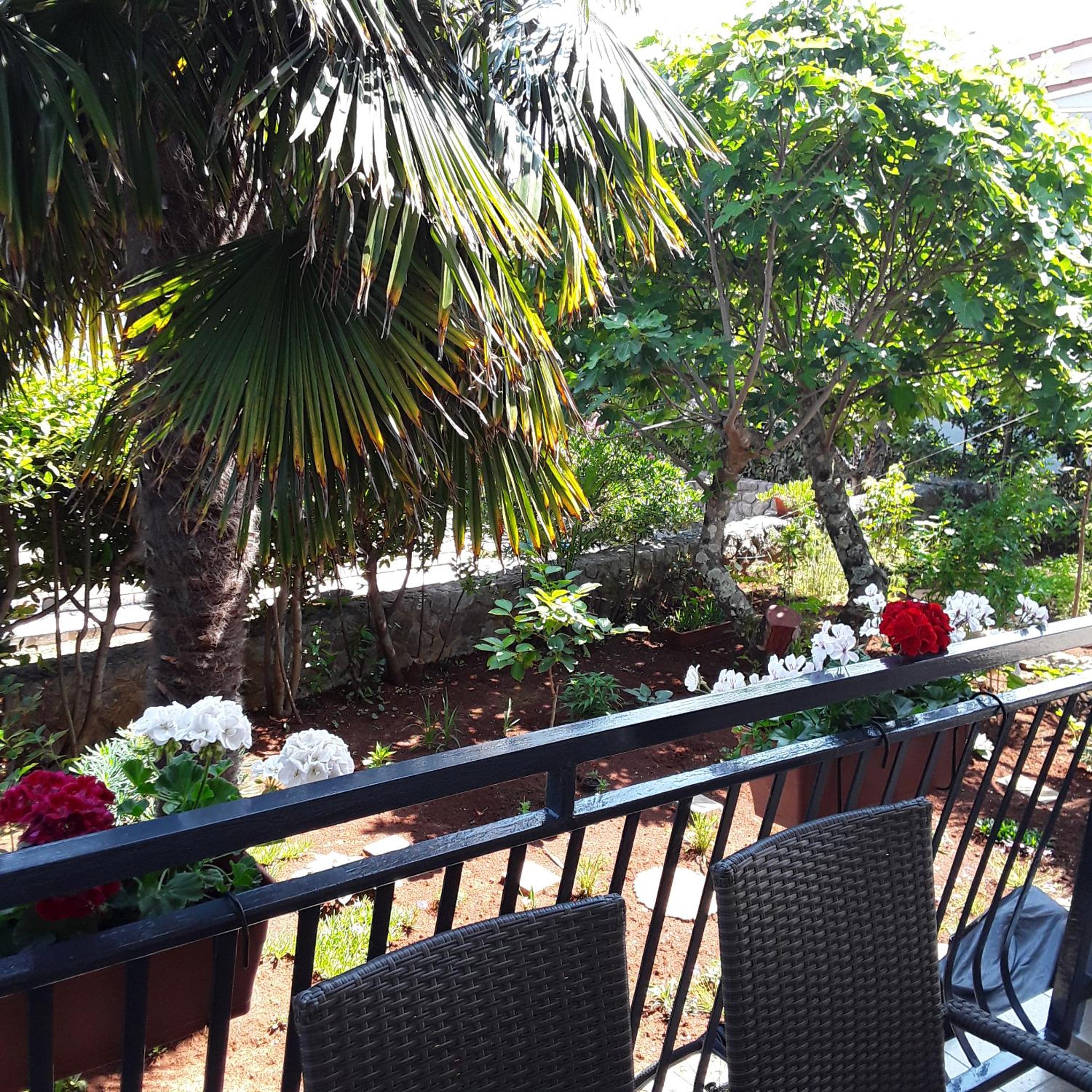Apartmani Irina