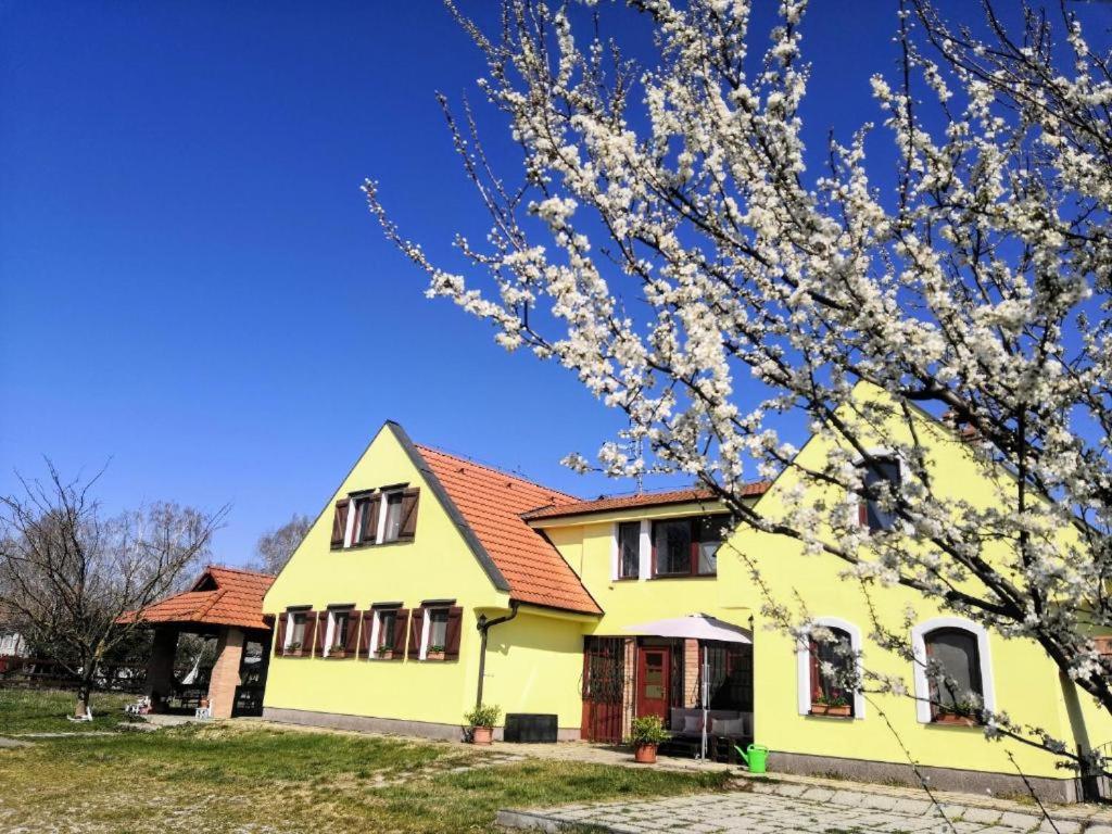 Idylický rodinný penzión Arkádia pri Dunajskej cyklotrase