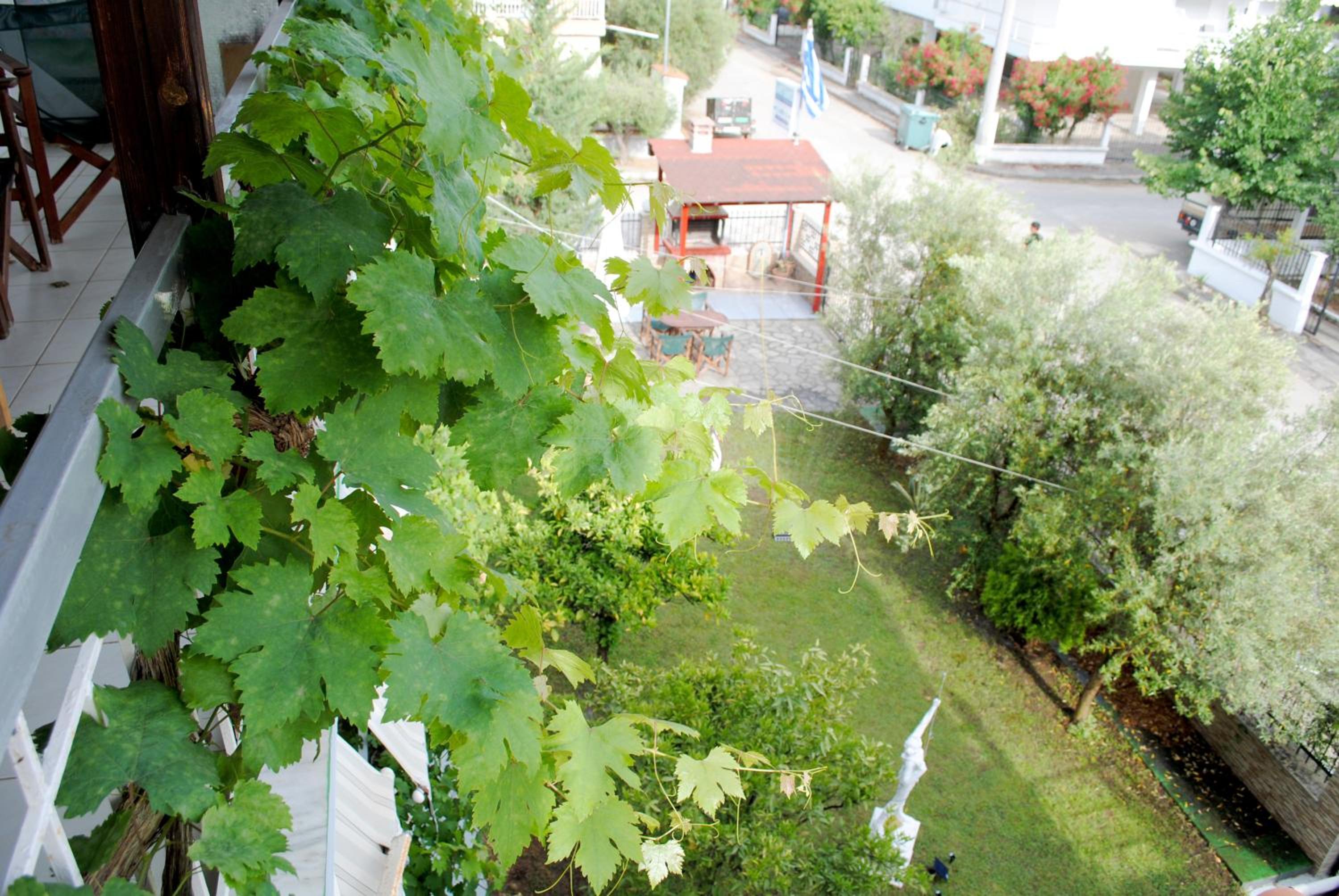 Photo 46