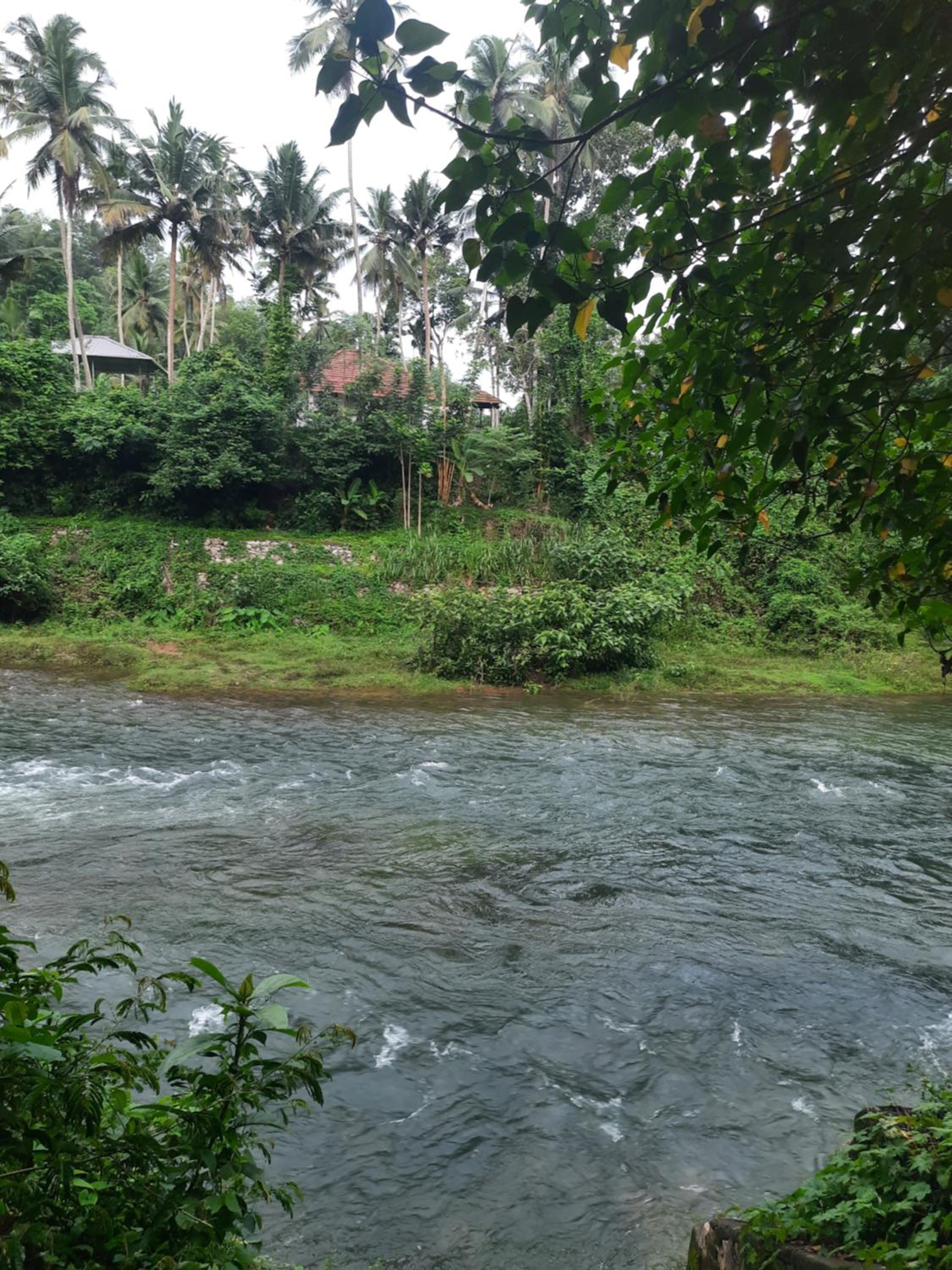 Wellness home Ayurvedia