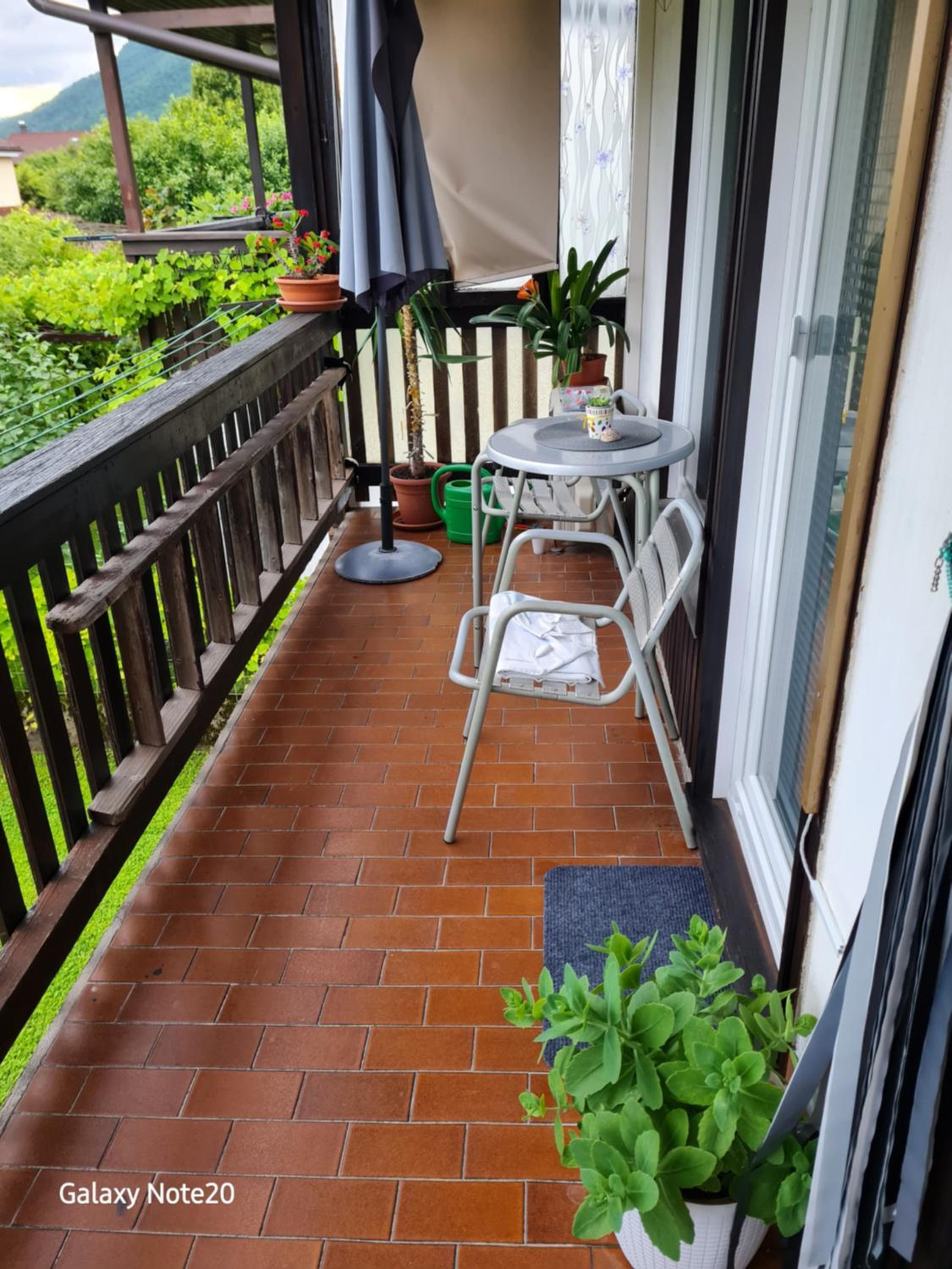 Apartma Mulino