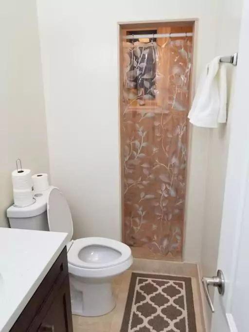 Private Rooms, Free Parking, Full Kitchen, Best Prices in Town- York University Heights