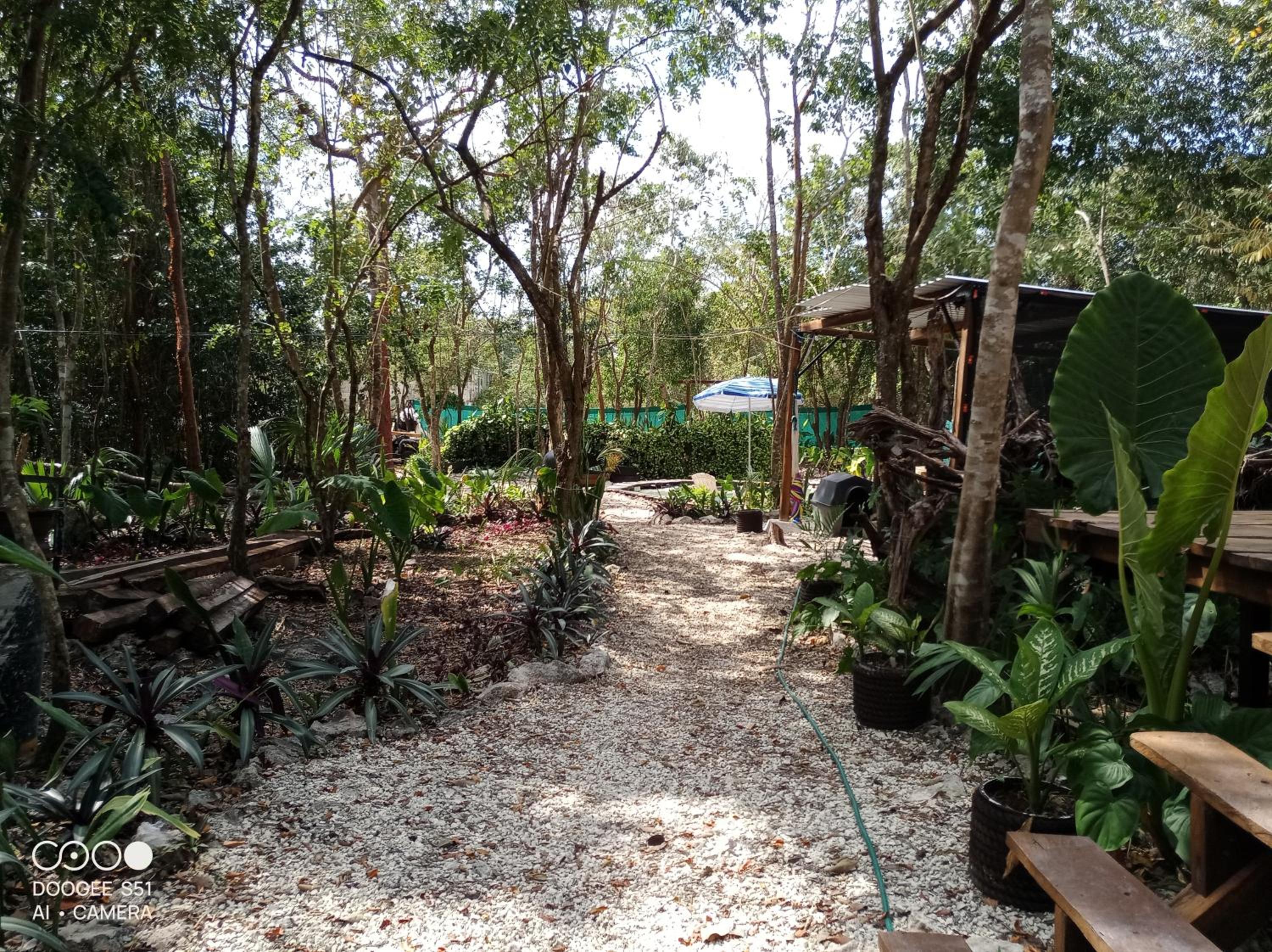Cozumel Glamping