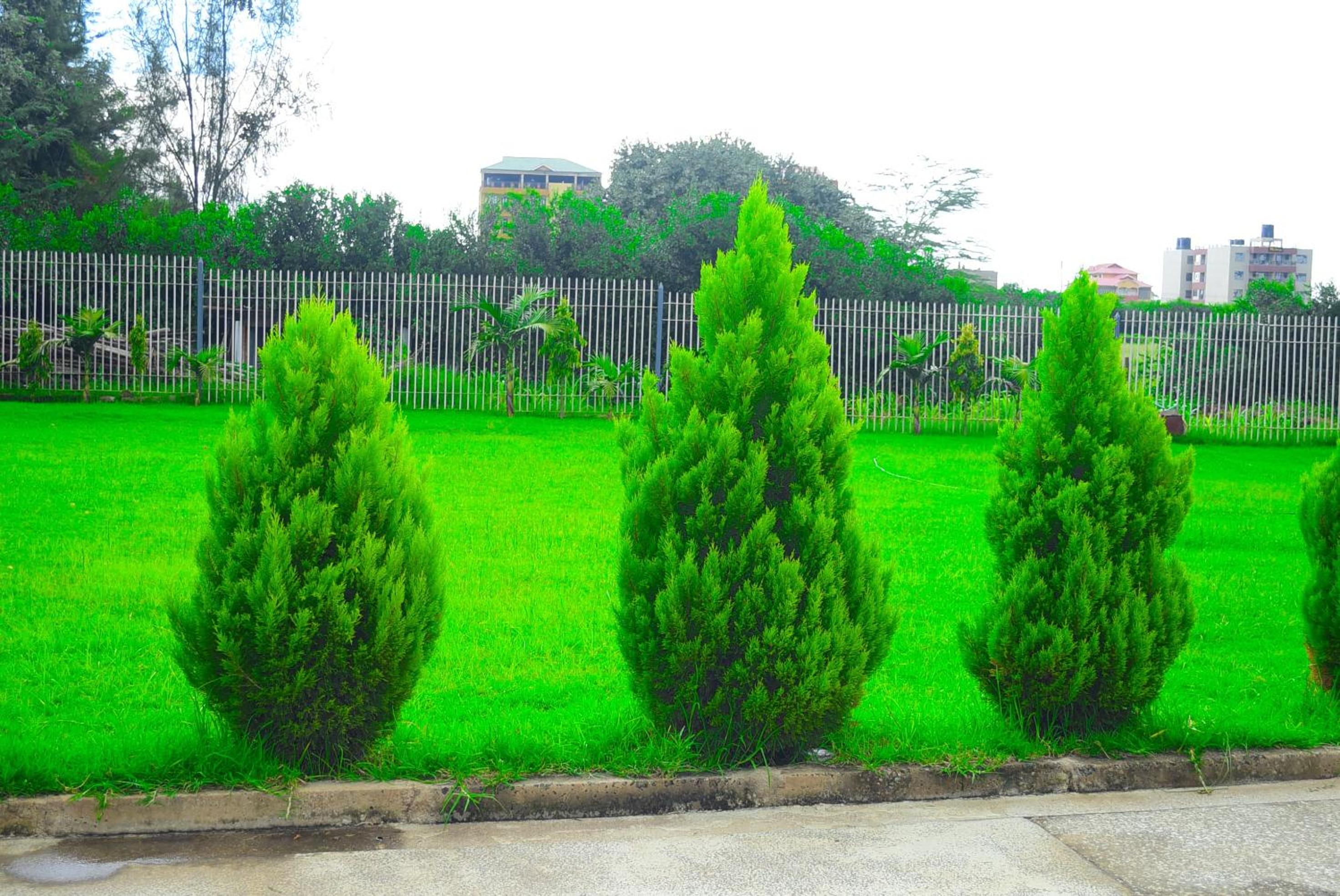 PAWA Homestays 1br Nanyuki view 4