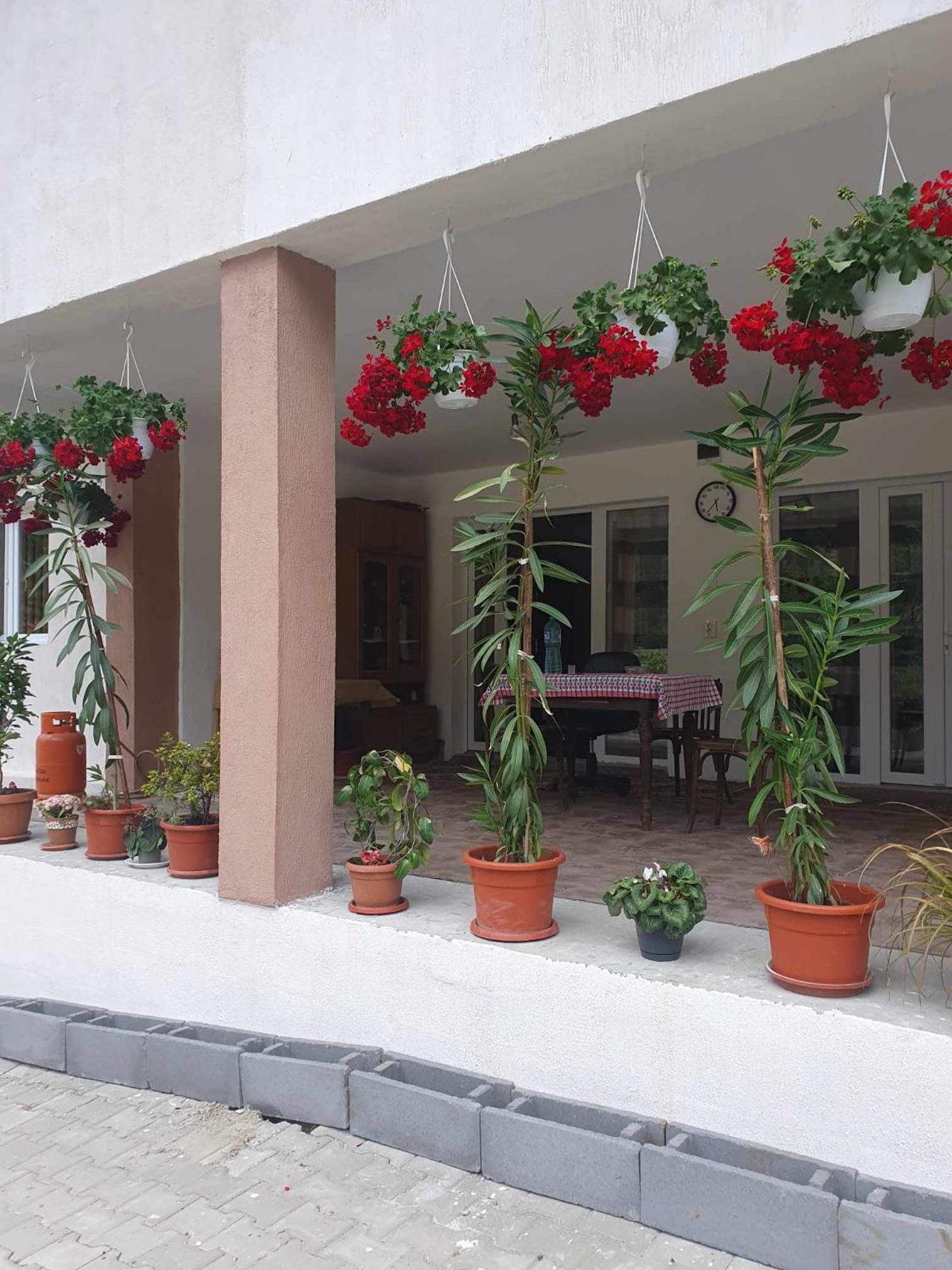 Casa Maksai view 4