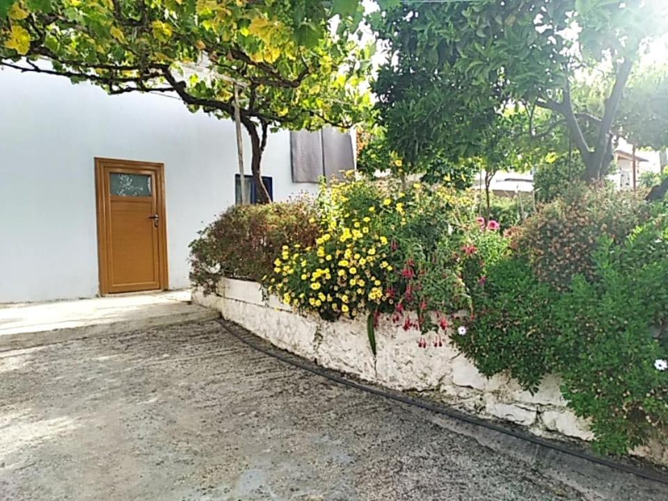 Hako Apartments