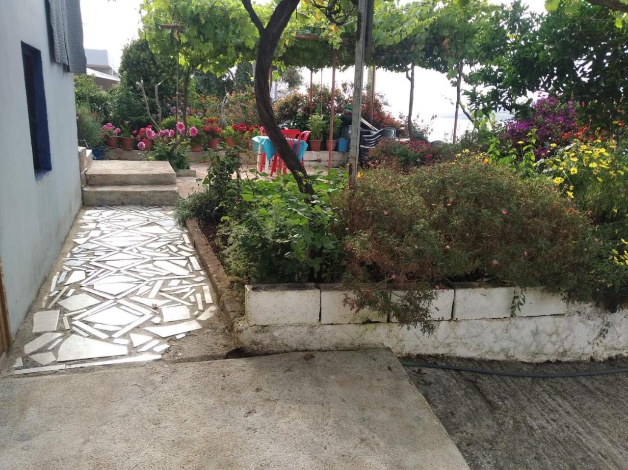 Hako Apartments