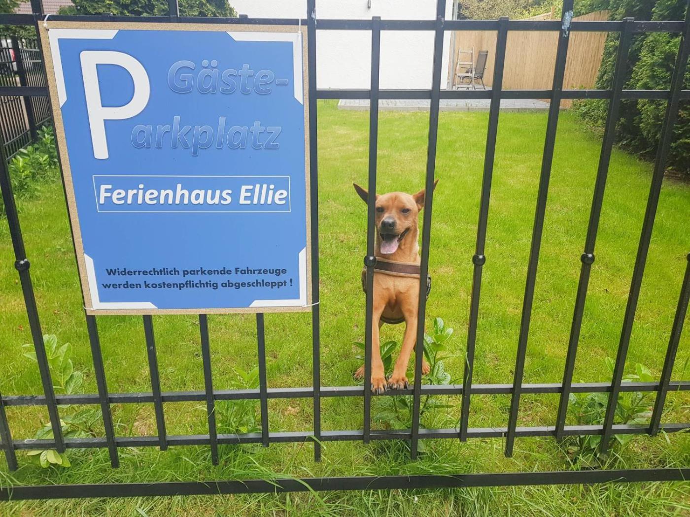 Ferienhaus Ellie