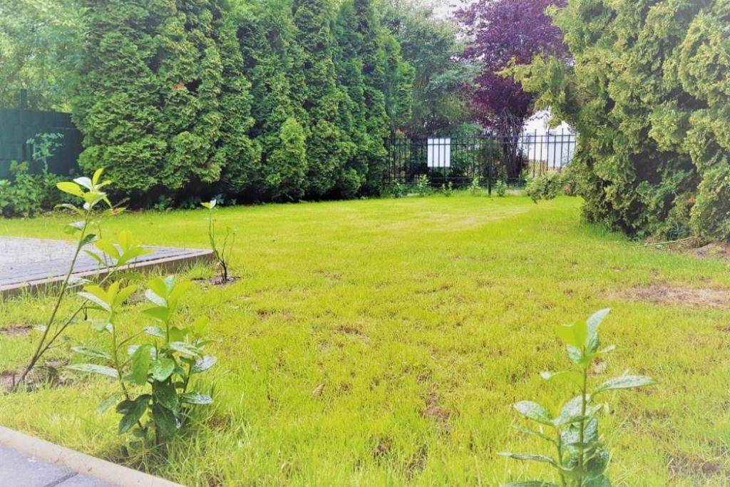 Ferienhaus Ellie