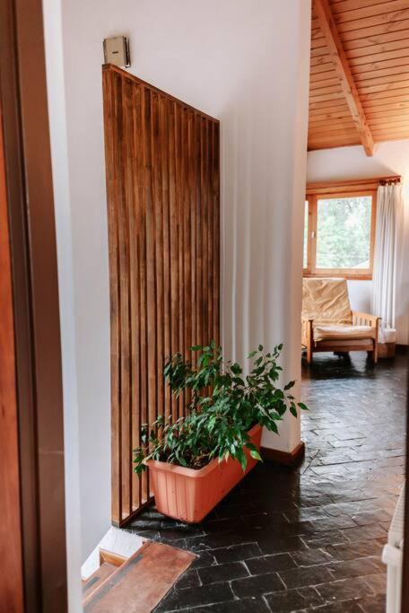 A1- Casa completa con jardín y garage