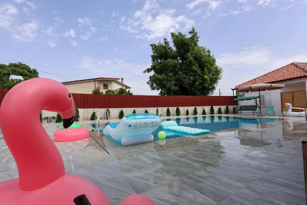 Villa Valentino Swimming Pool