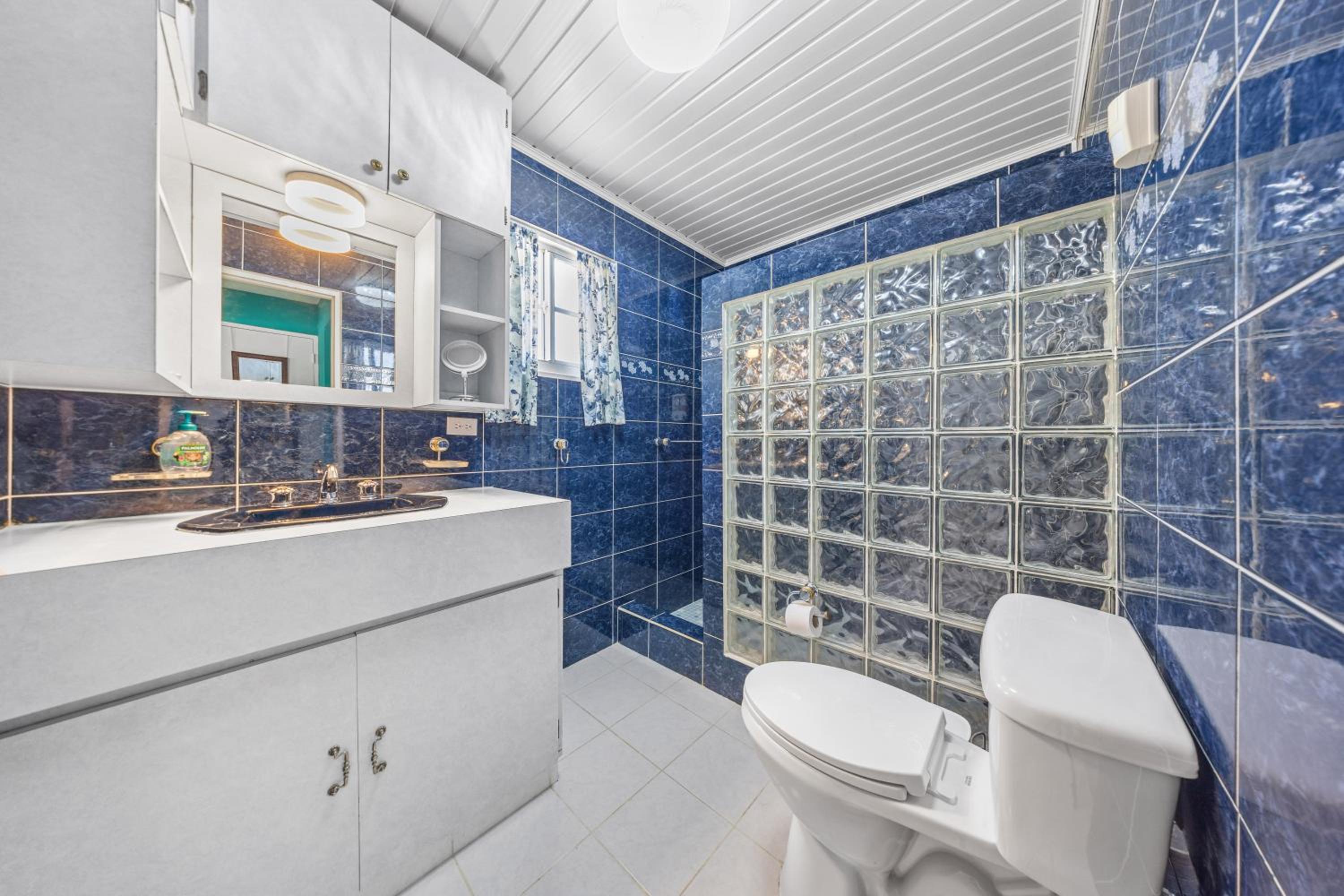Cadushi Cove 4br Aruban Oasis Wpool & Bbq