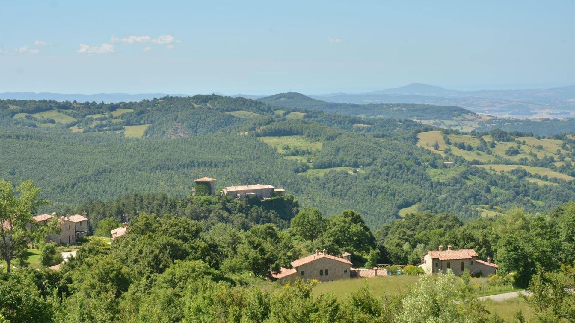 Albicocco