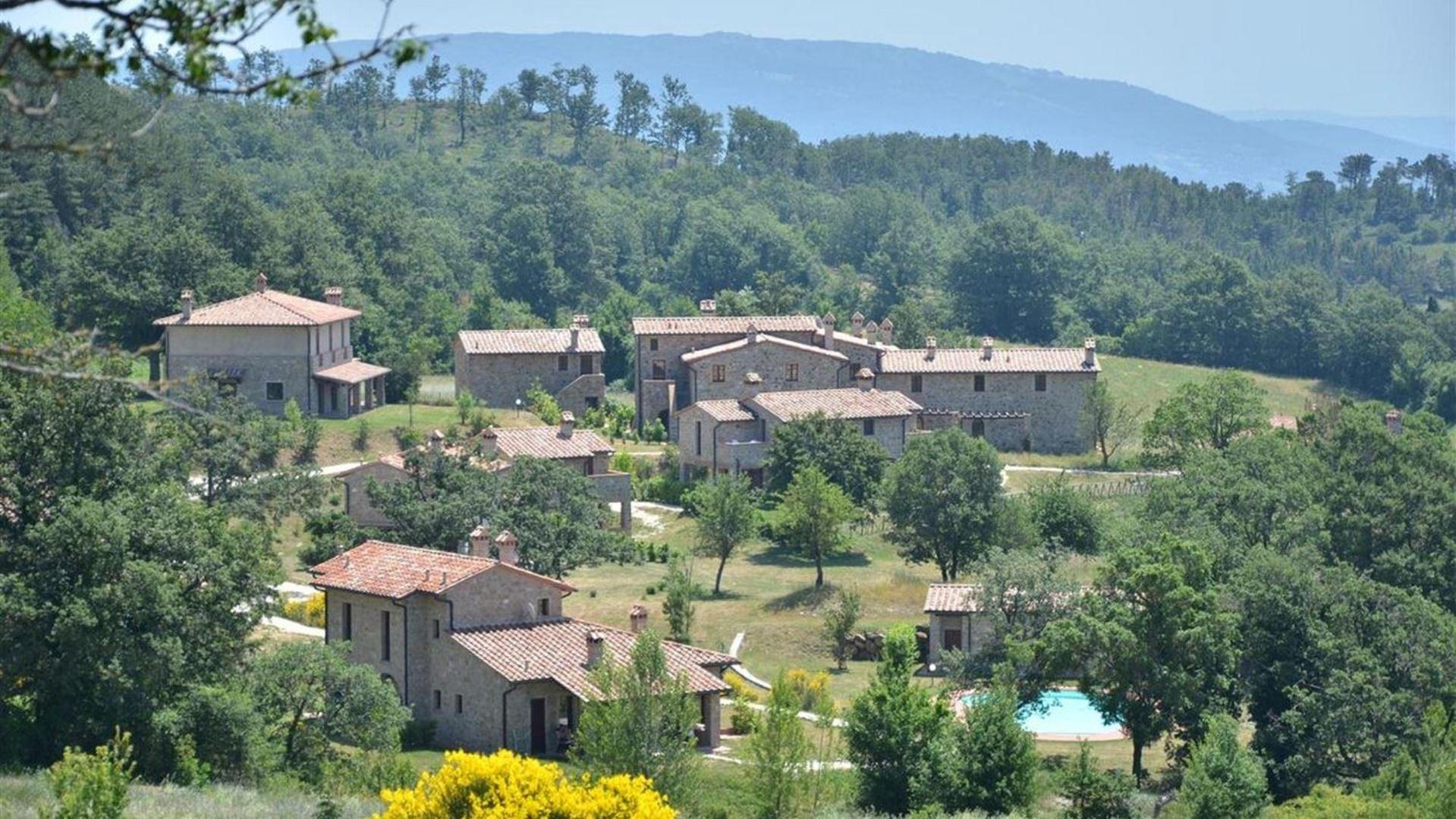 Albicocco