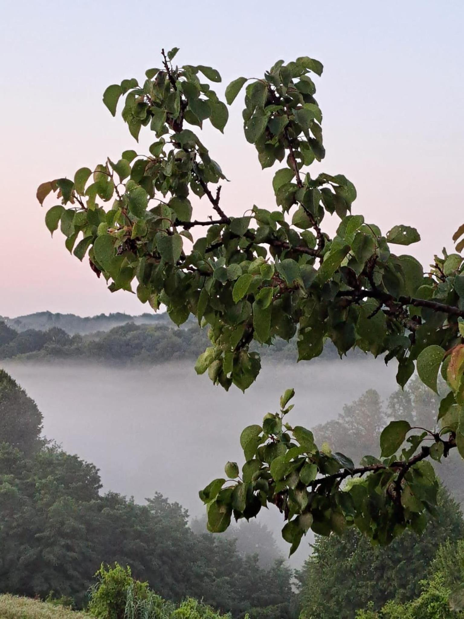 Vikend Haloze-Zagorje