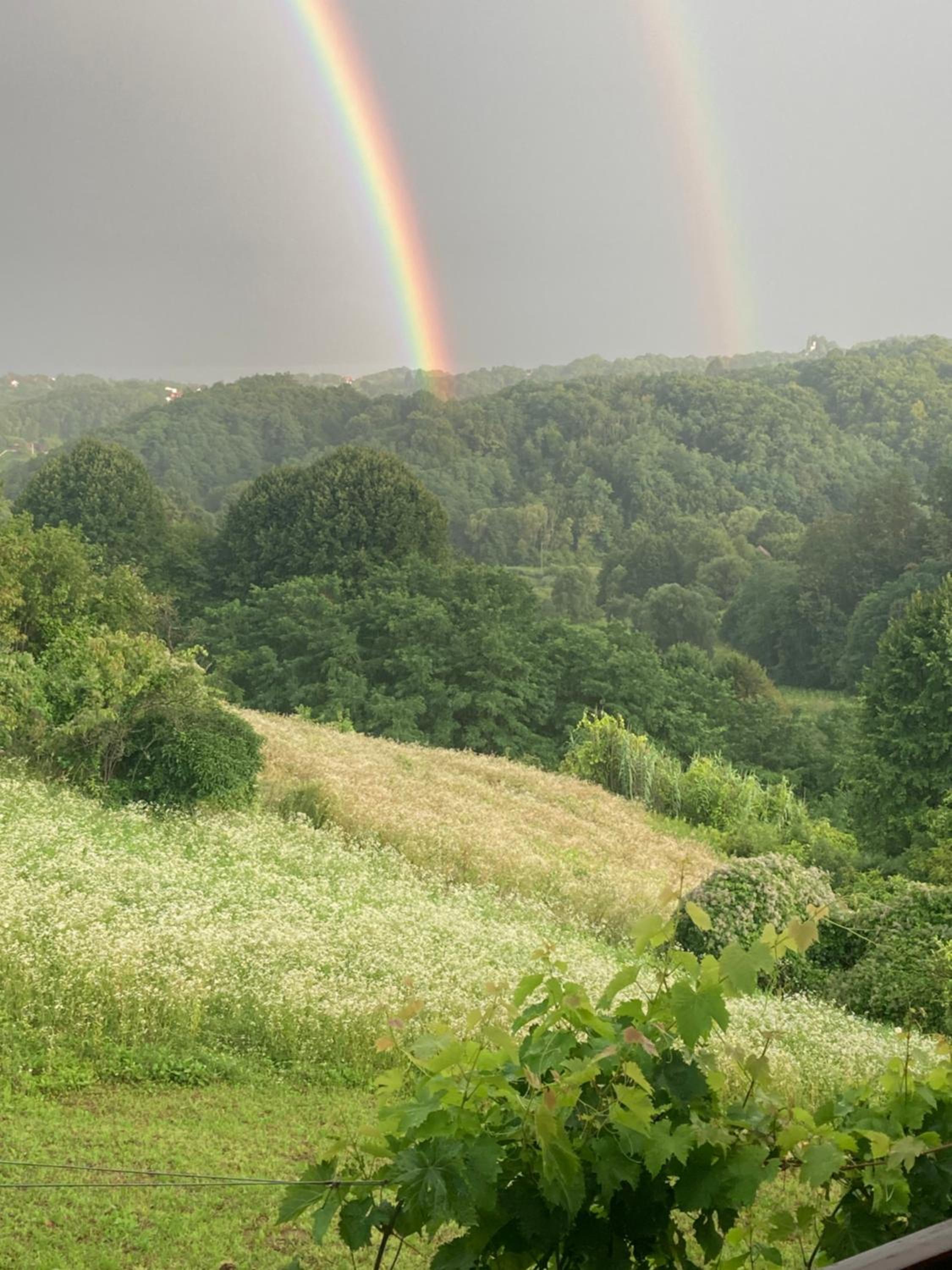 Vikend Haloze-Zagorje