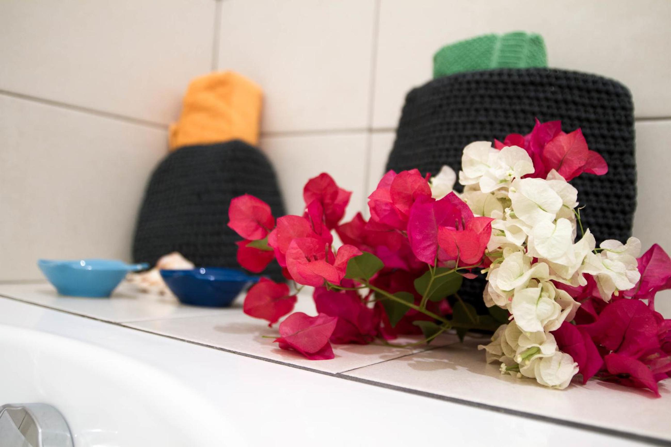 Luxury Apartment