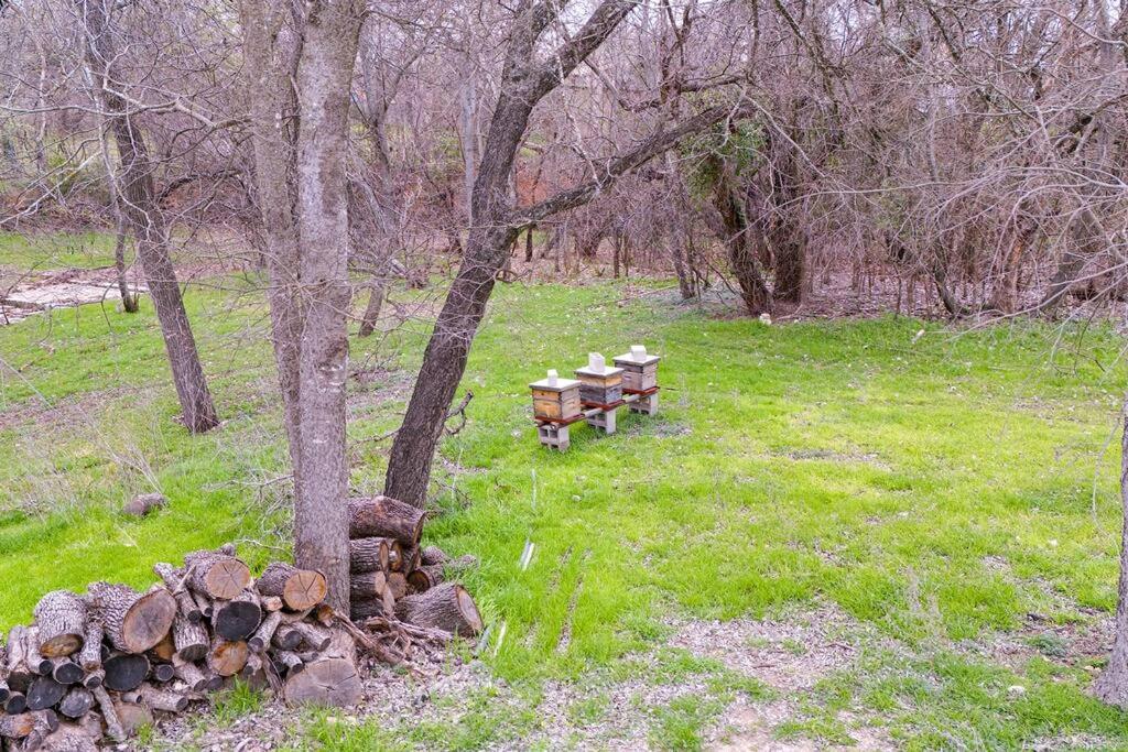 Casita Fulton - Fire Pit & Close to Main St view 5