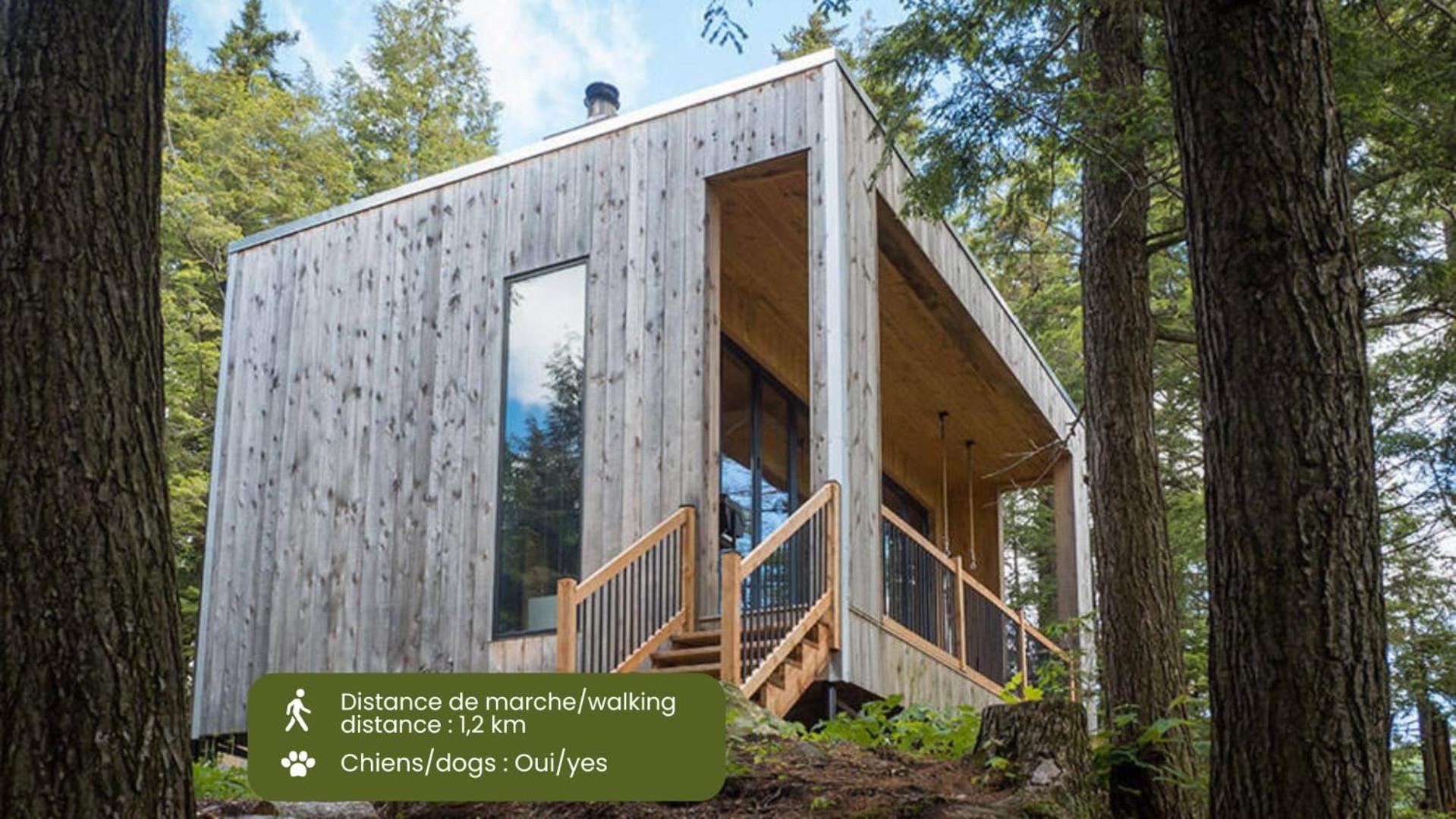 Cabin Zoobox 67