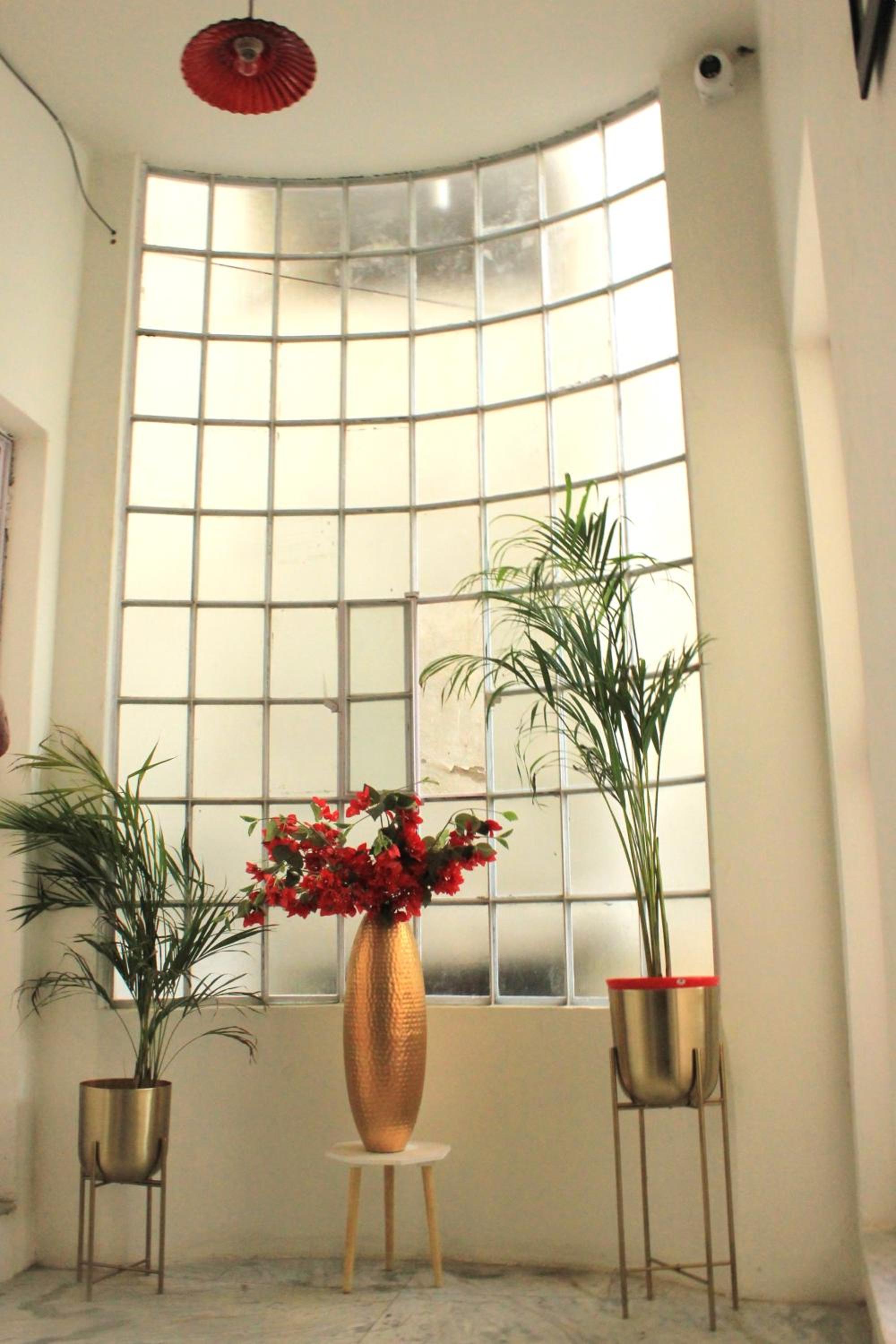 The Nandi International Boutique Stay