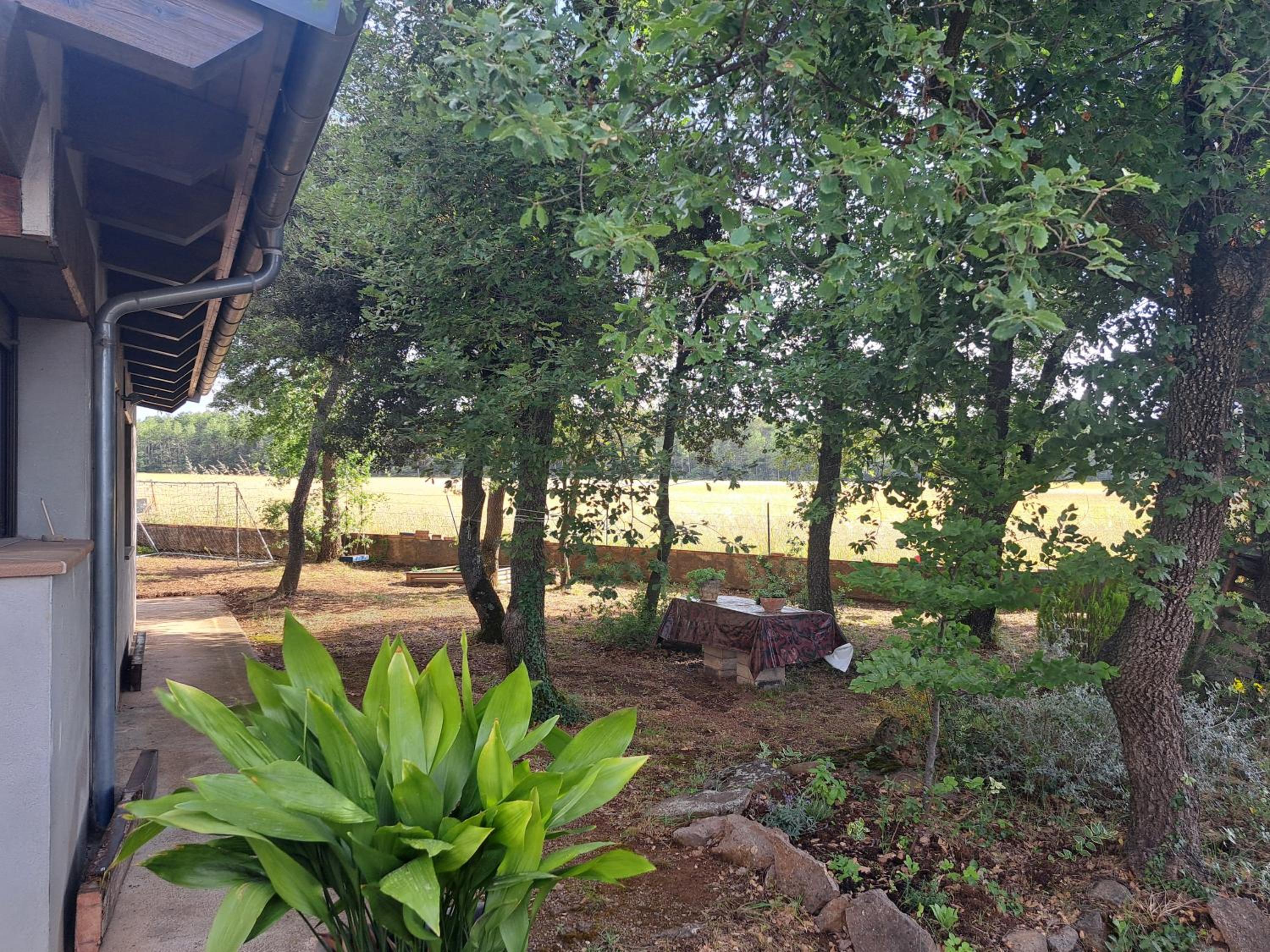 La casa del pi view 4