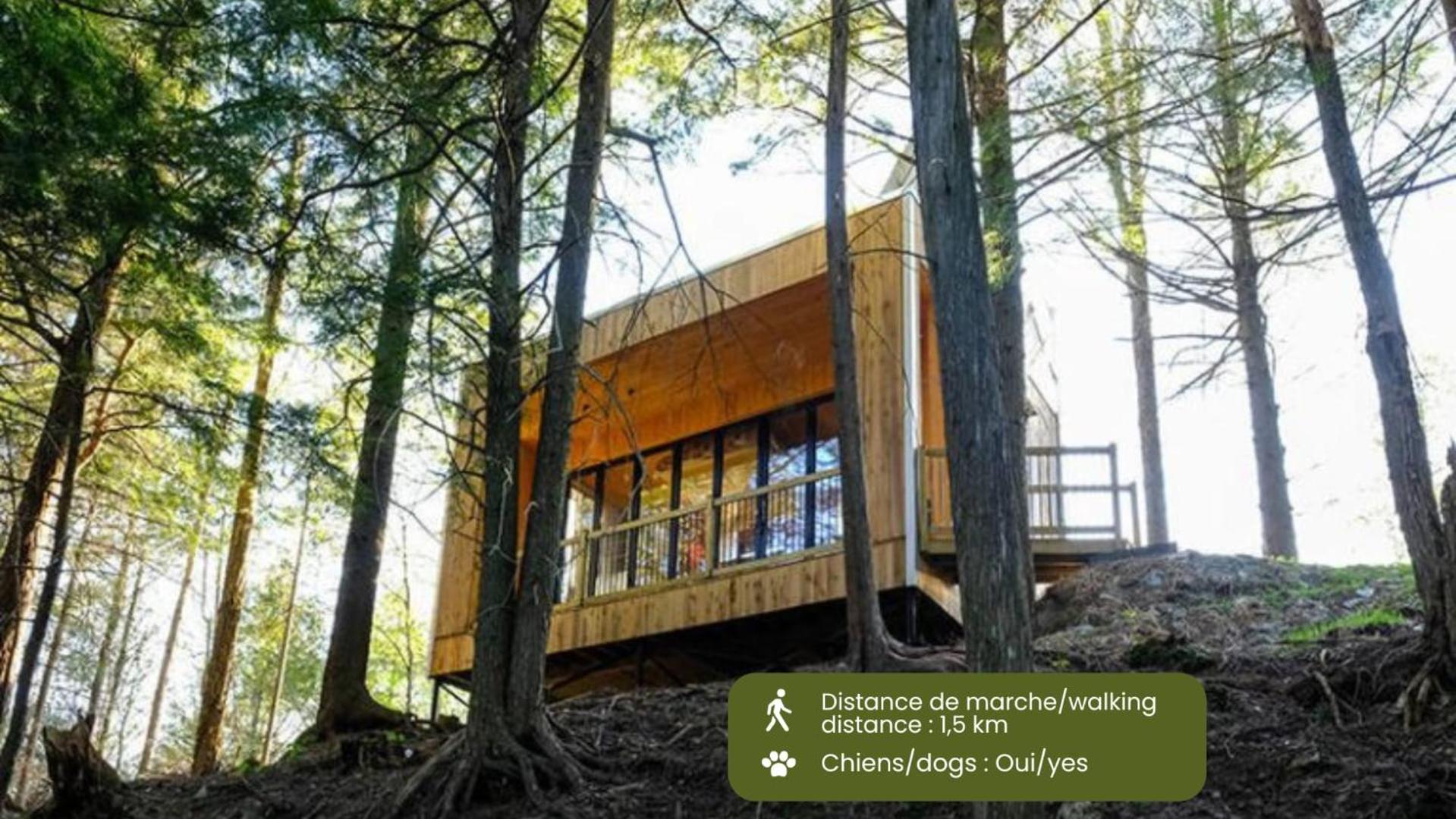 Cabin Zoobox 84