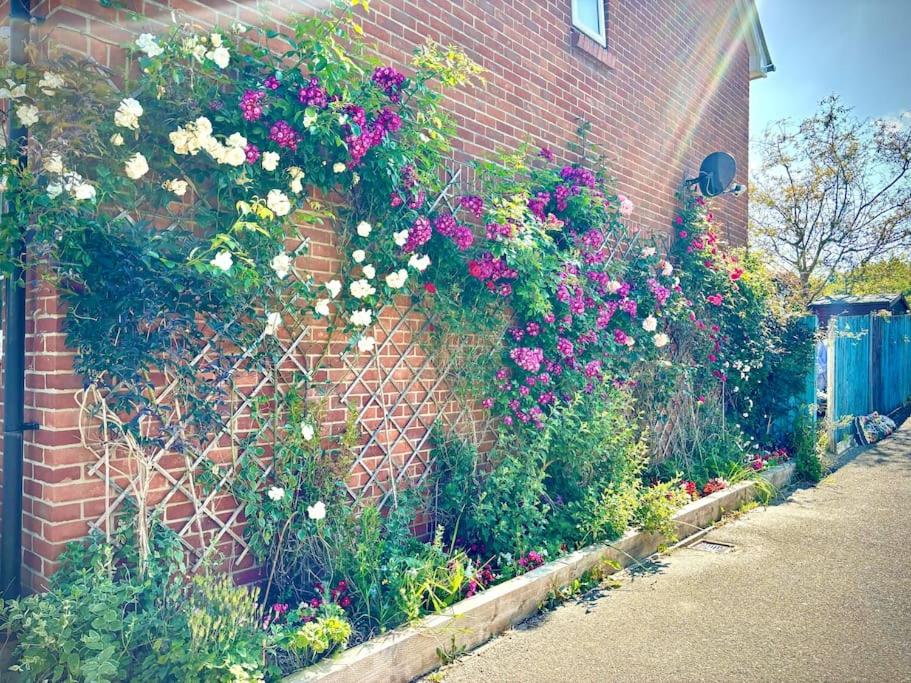2 bedroom house in Chichester near Goodwood and Wittering beaches