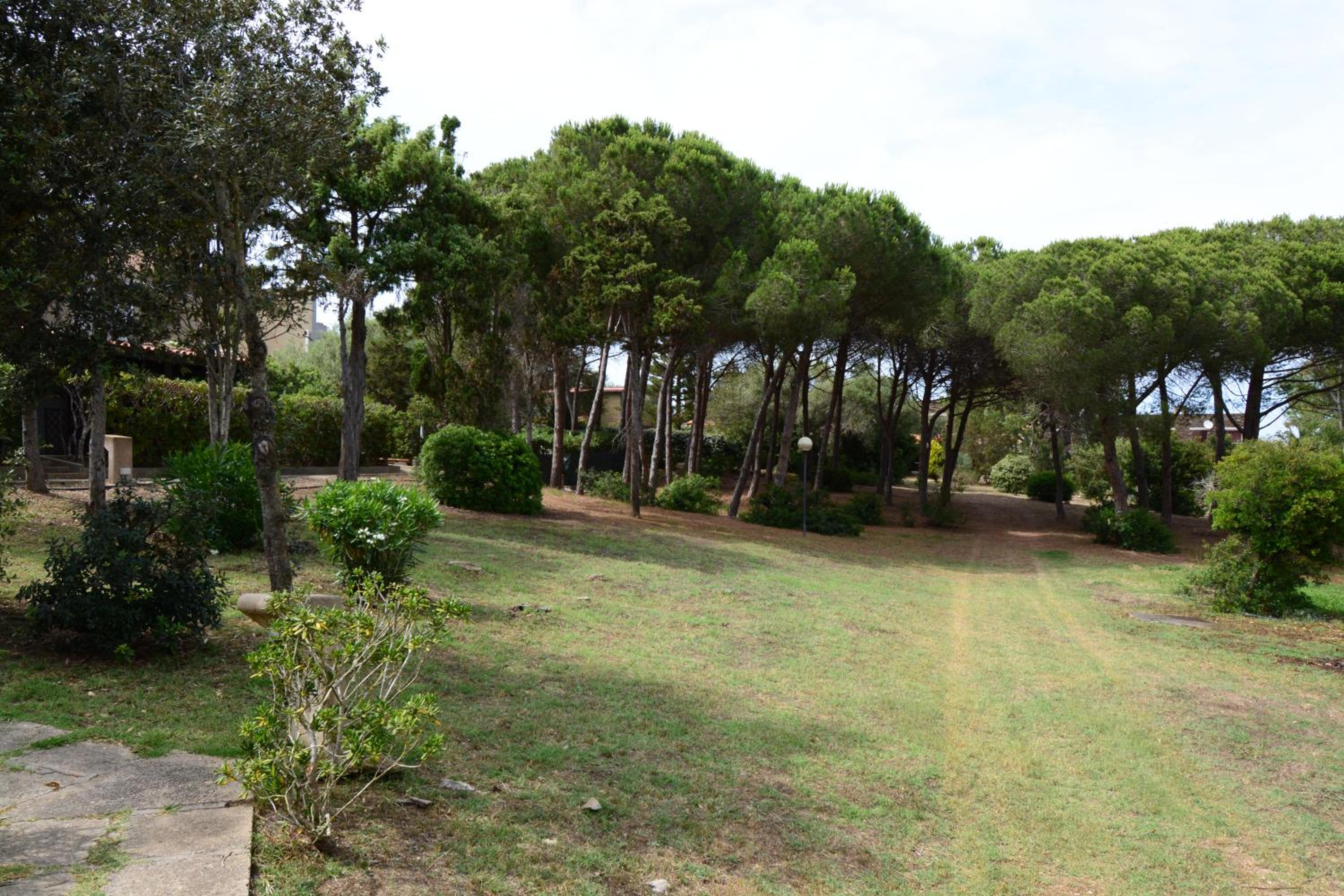 Sardaliotis 11 photo 2