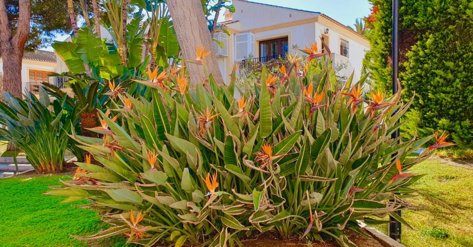 Casa Veranera Vera Costa
