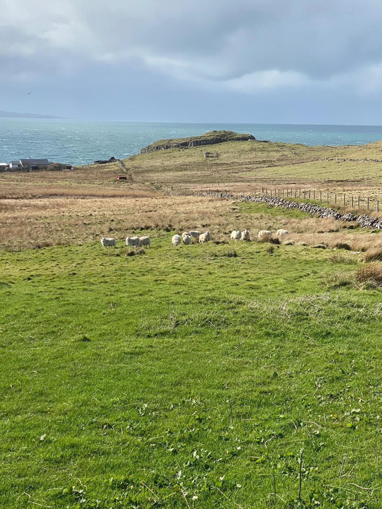 Cnoc Ruaraidh Cottage