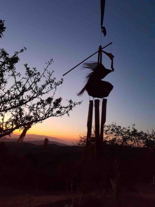 Çamlarla çevrili, esintili, konforlu doğal yaşam view 3